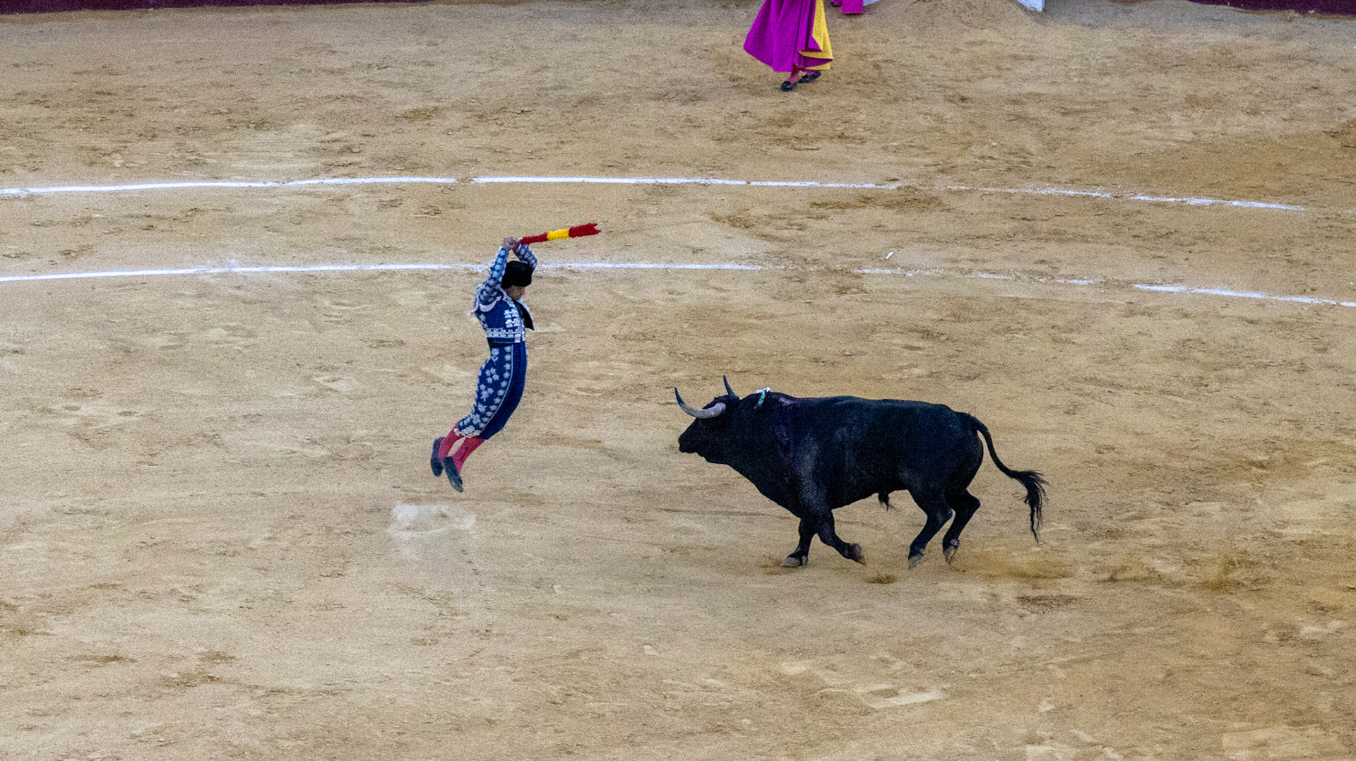La Corrida de Málaga. Málaga, Spain. 2022.