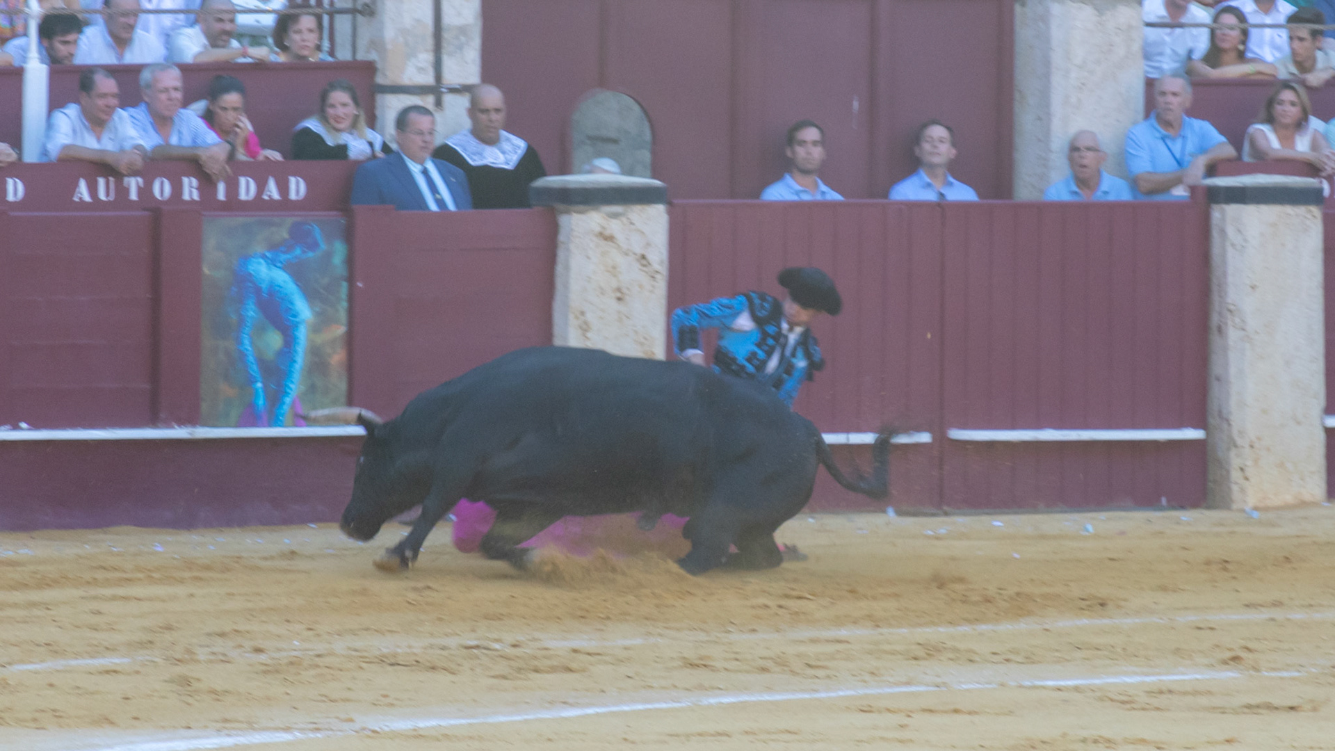 La Corrida Picassiana de Málaga. Málaga, Spain. 2022.