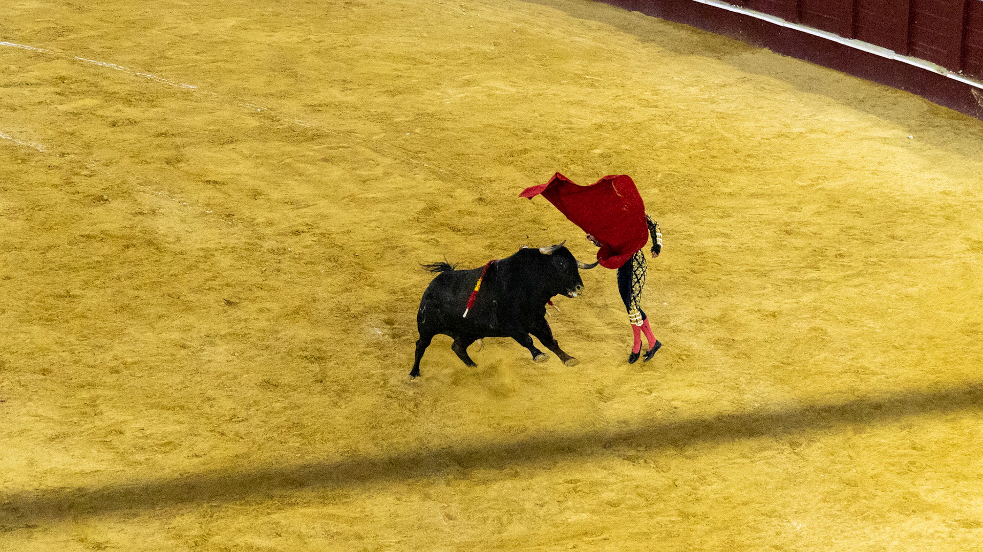 La Corrida de Málaga. Málaga, Spain. 2022.