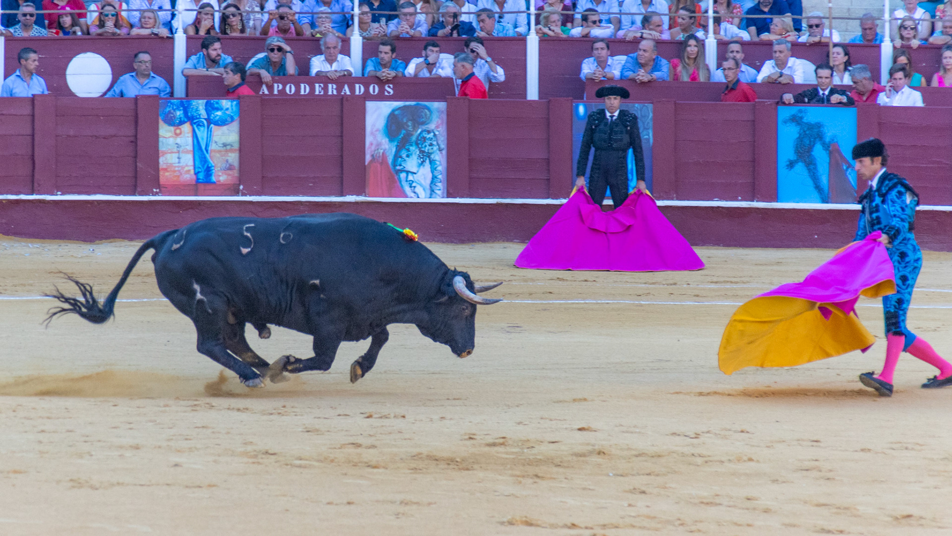 La Corrida Picassiana de Málaga. Málaga, Spain. 2022.