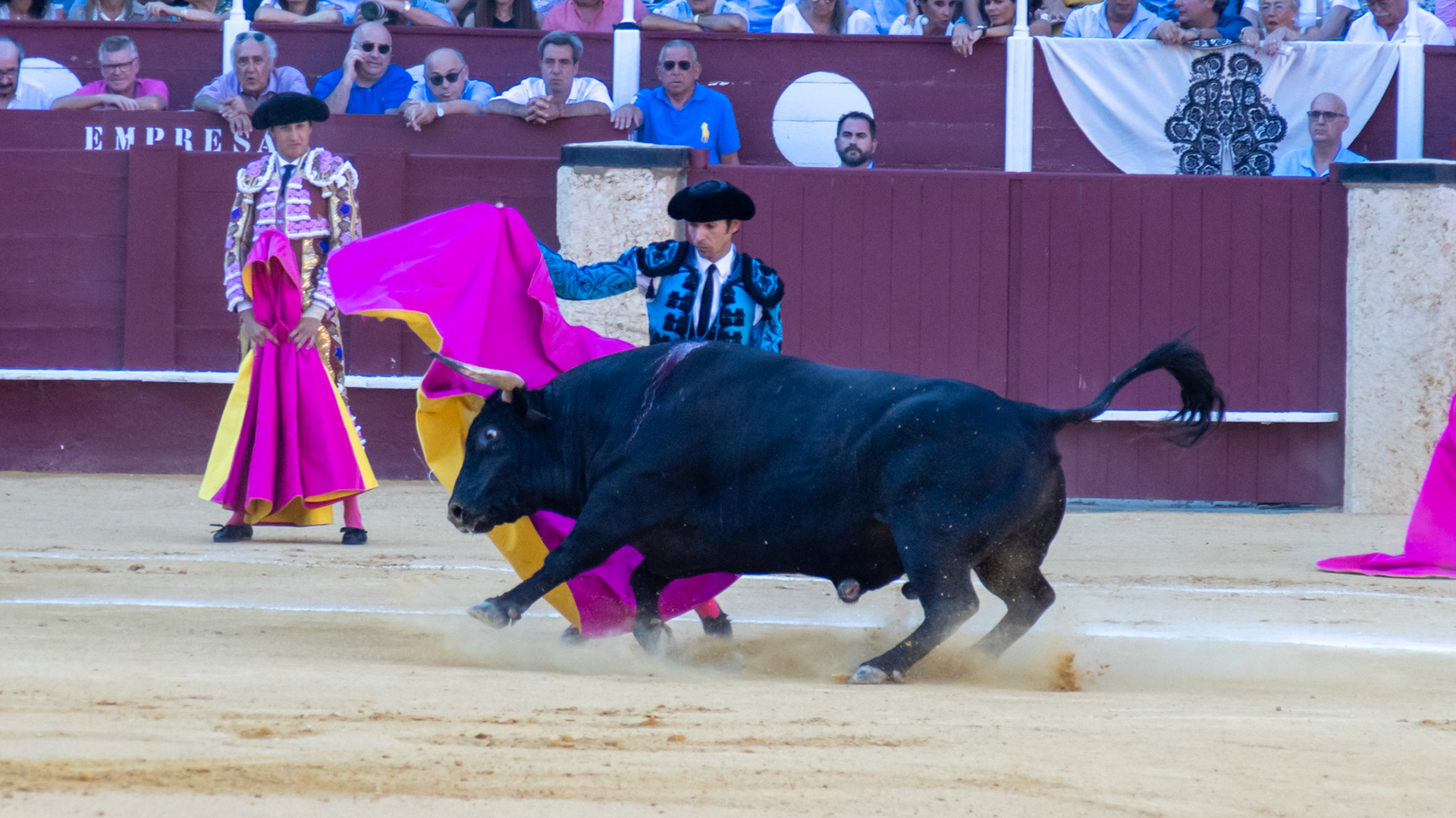 La Corrida Picassiana de Málaga. Málaga, Spain. 2022.