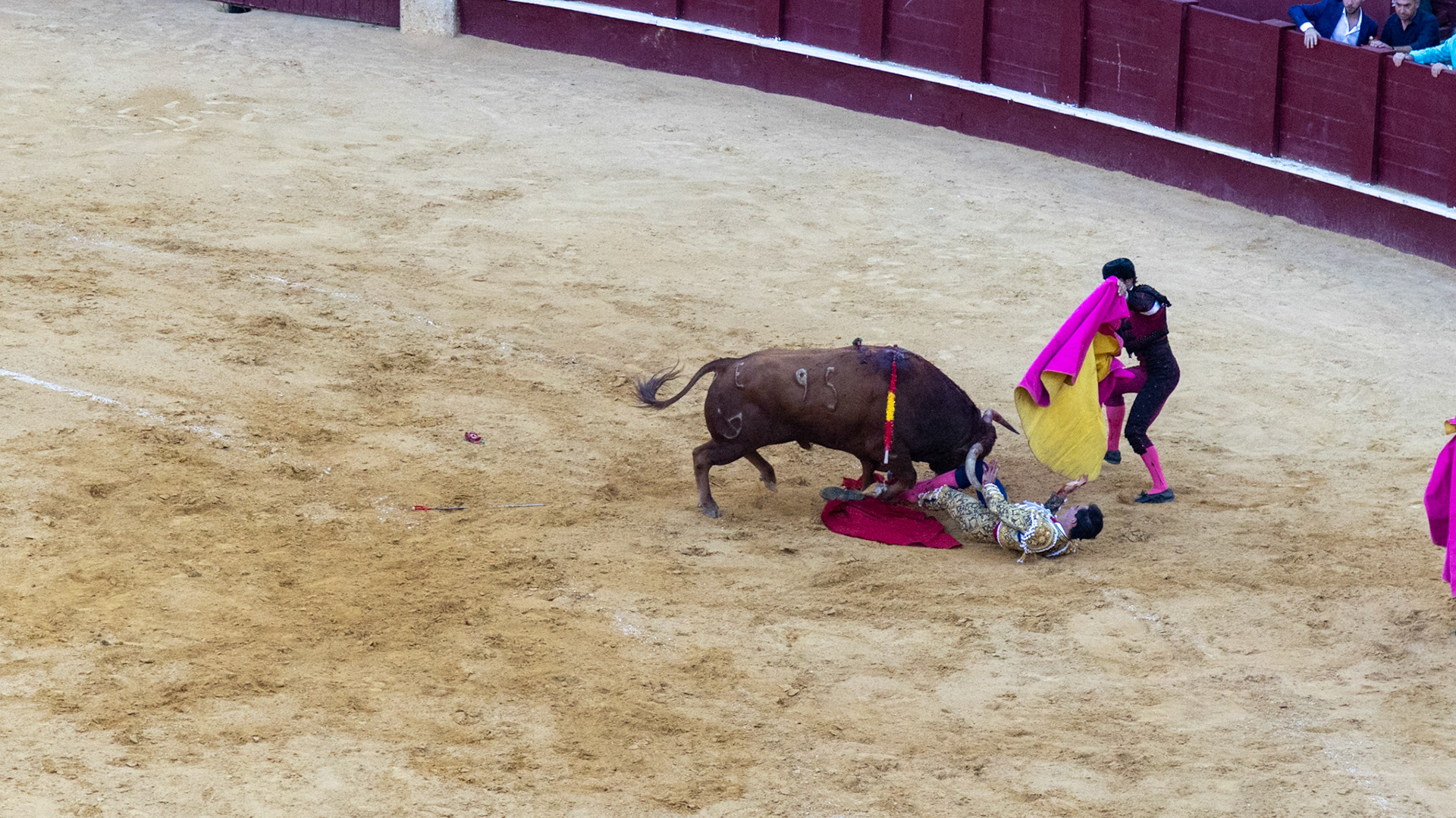 La Corrida de Málaga. Málaga, Spain. 2022.