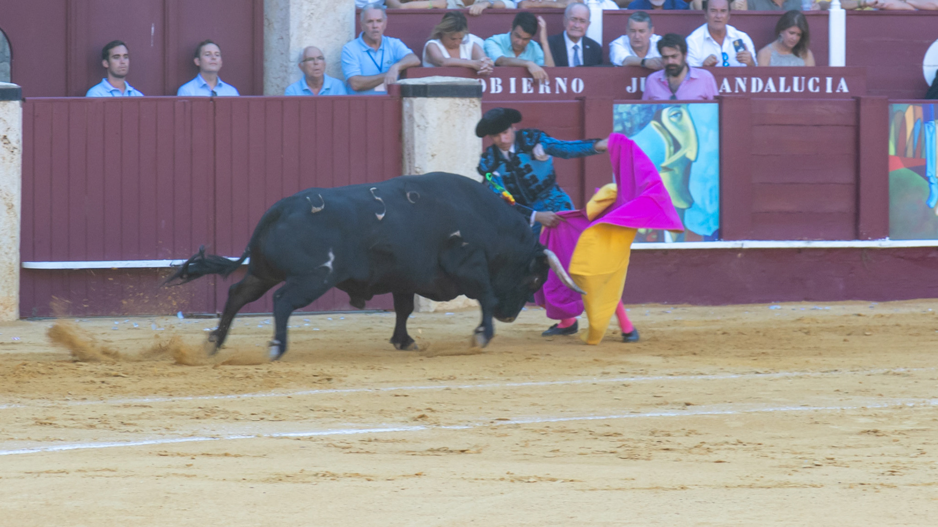 La Corrida Picassiana de Málaga. Málaga, Spain. 2022.