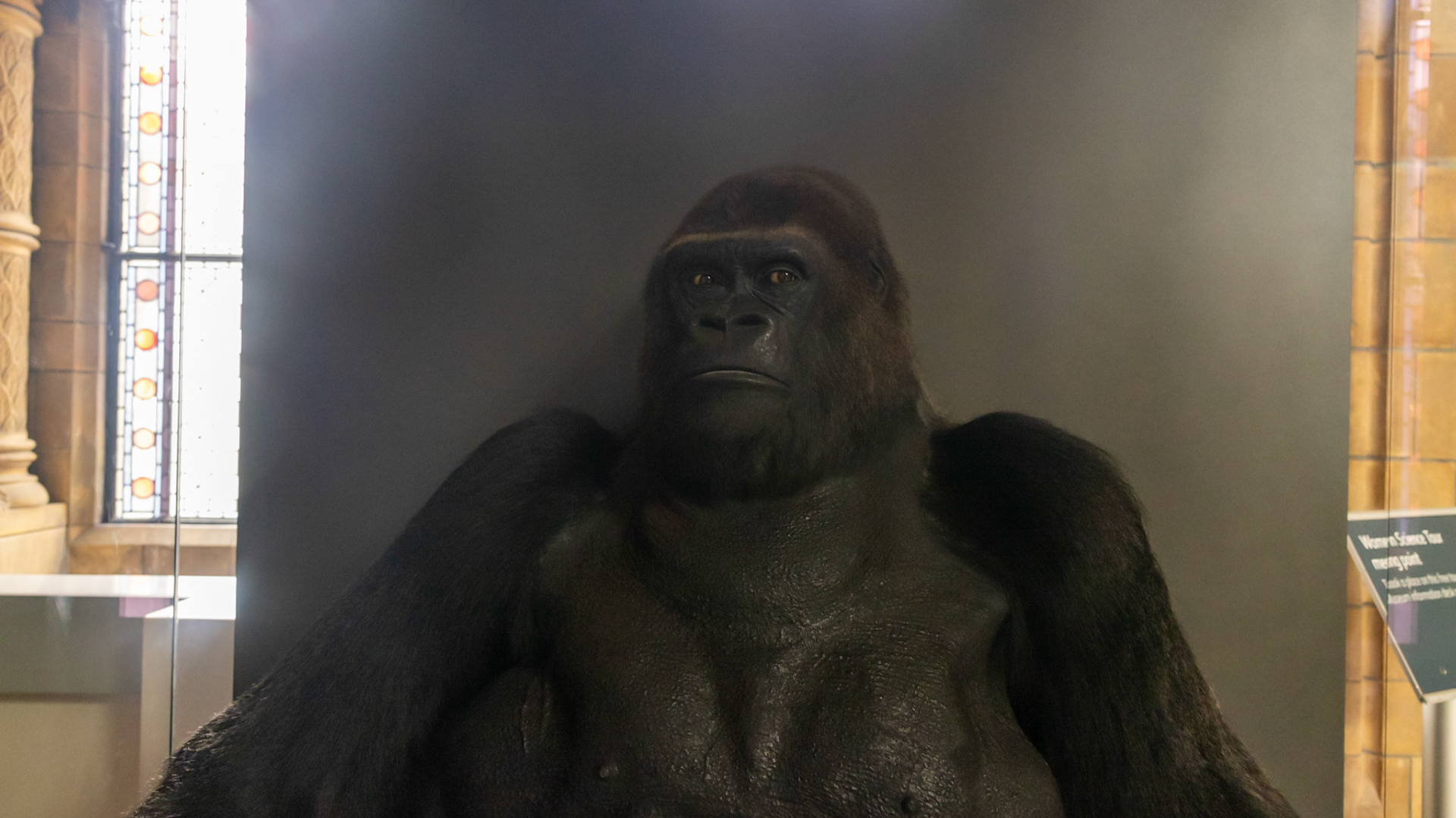 Natural History Museum. London, England. 2023.