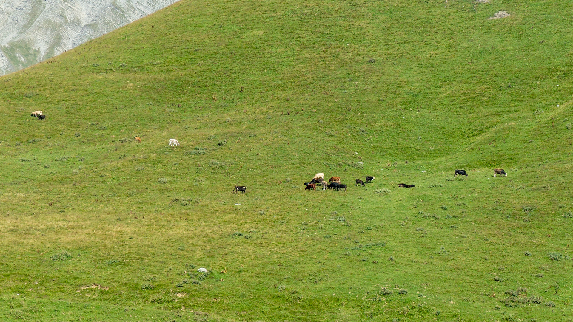 Gudauri, Georgia. 2019.