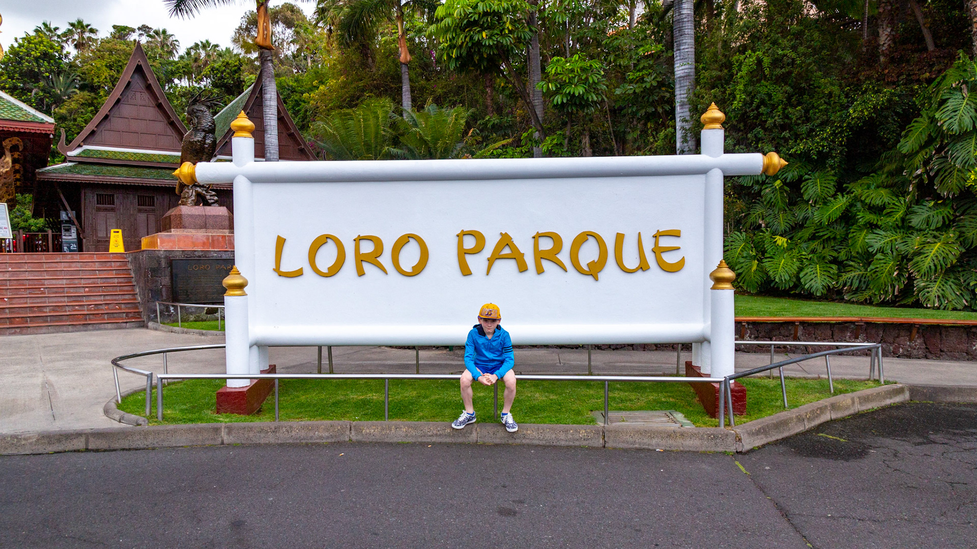 Loro Parque. Puerto de la Cruz, Tenerife, Spain. 2018.