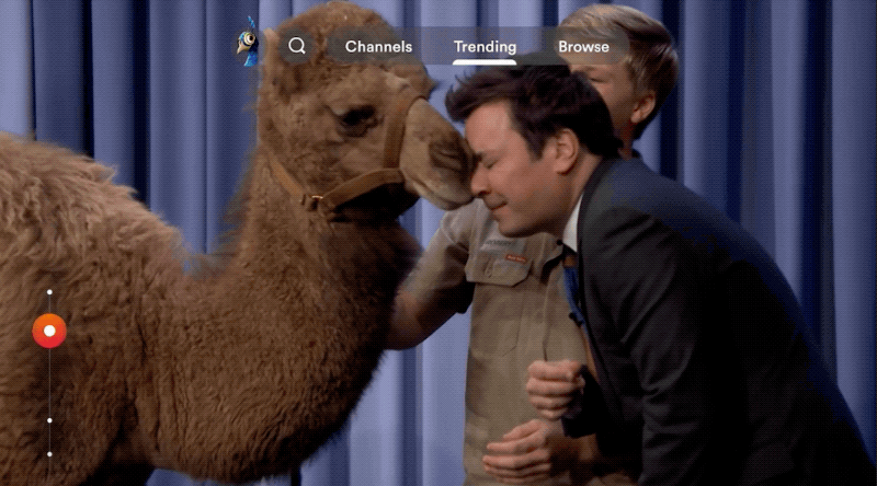 NBCU Peacock Product Design 2020-2021