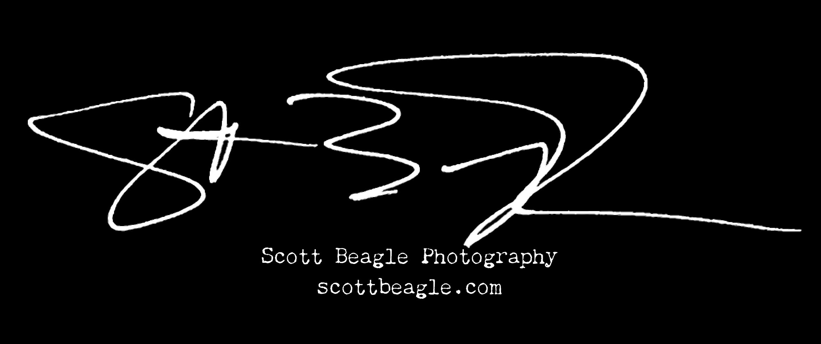 SCOTT BEAGLE PHOTOGRAPHY
