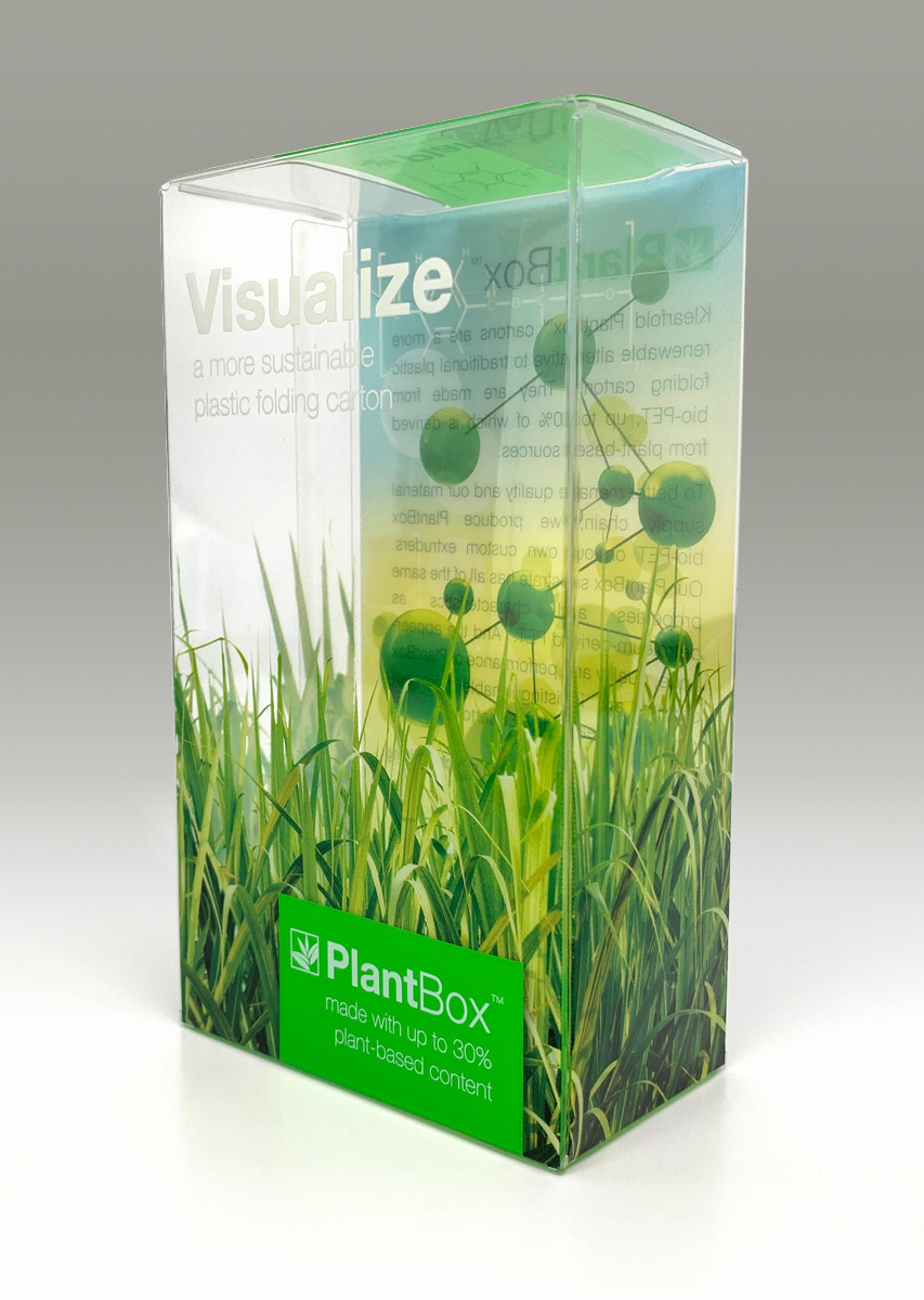 Visualize Plantbox