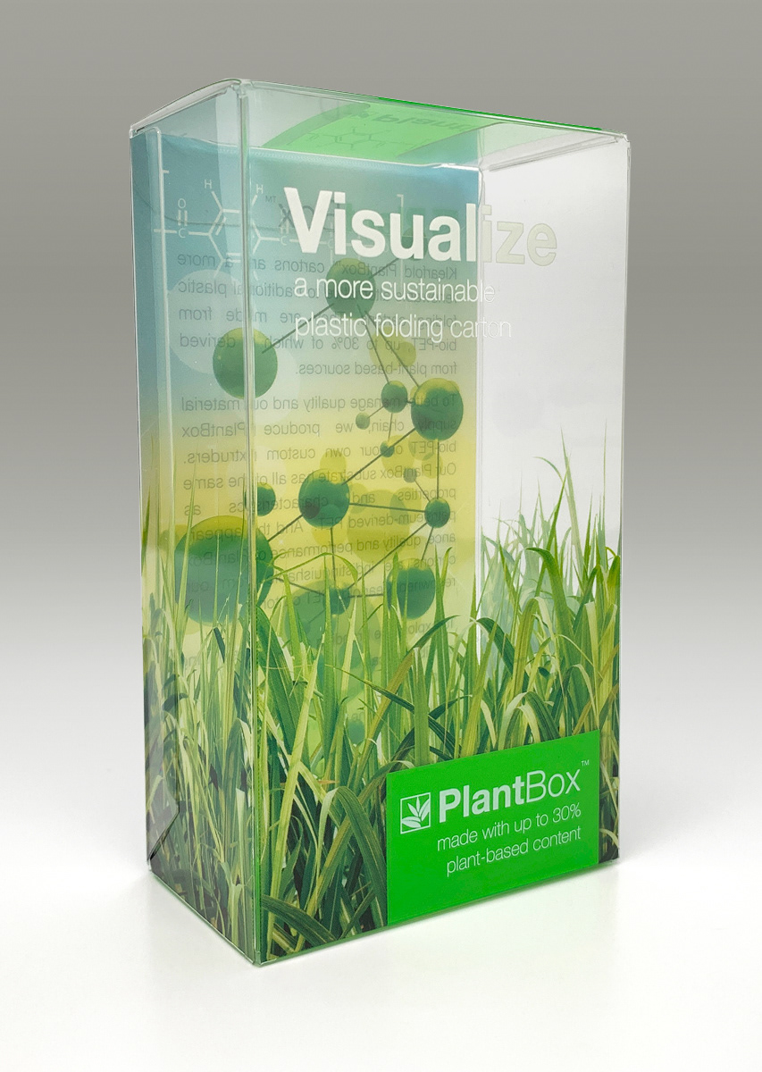 Visualize Plantbox