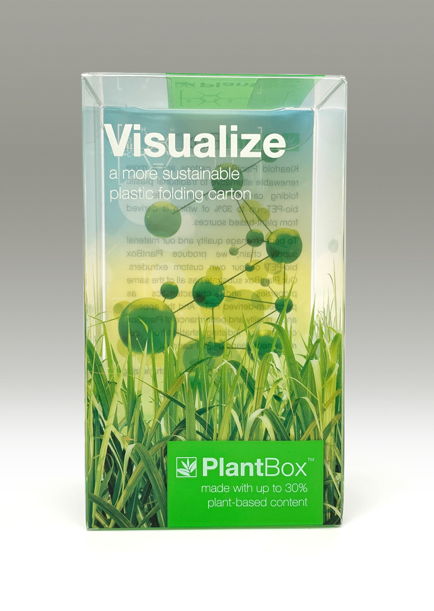 Visualize Plantbox
