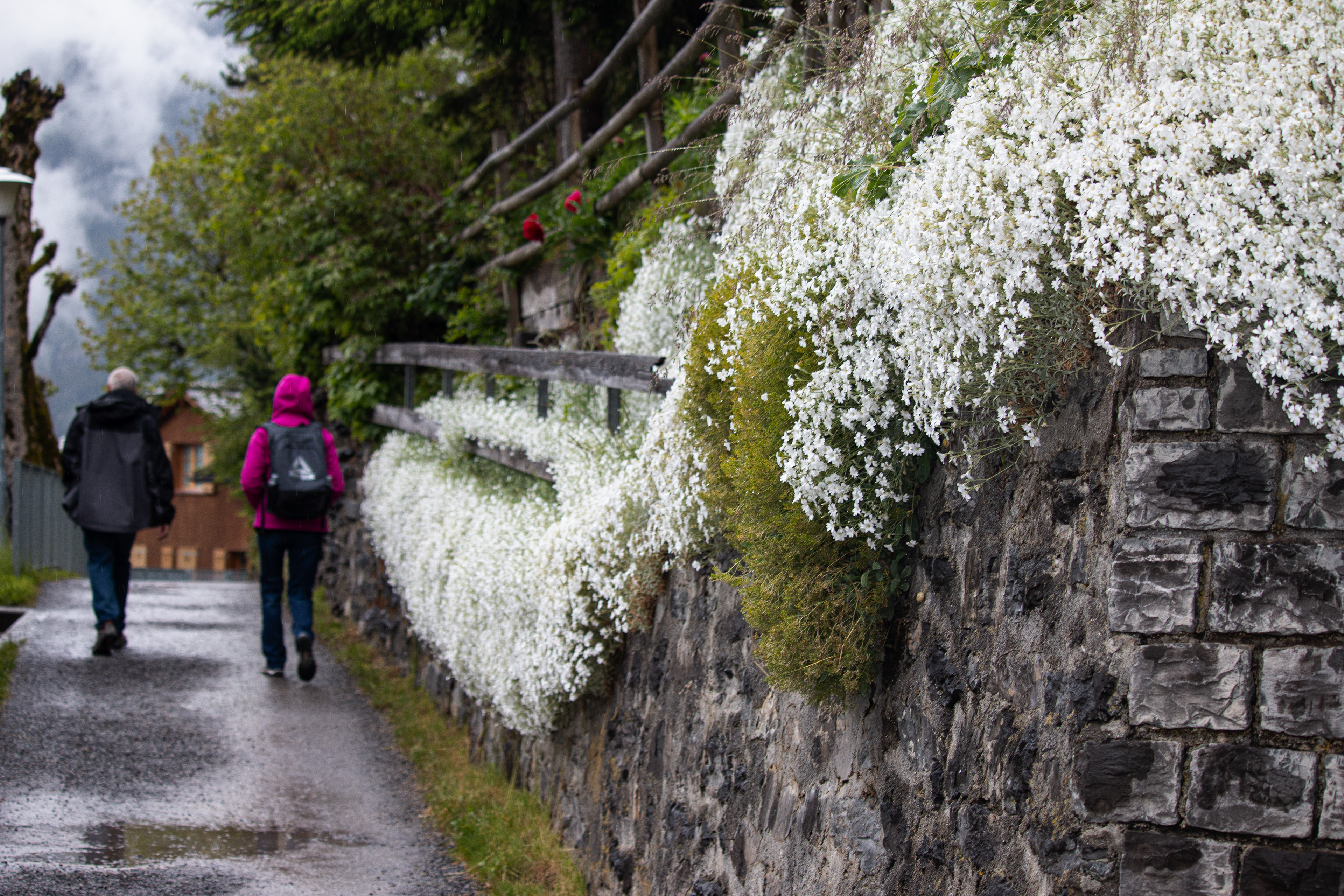 Switzerland