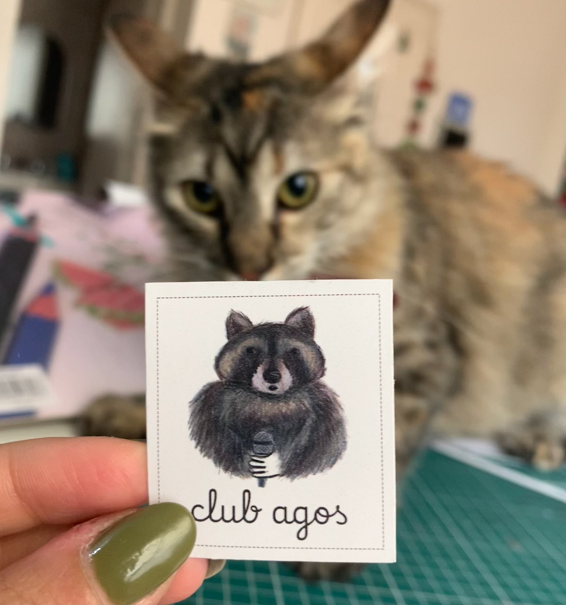 duna rechaza mis tarjetas miniatura