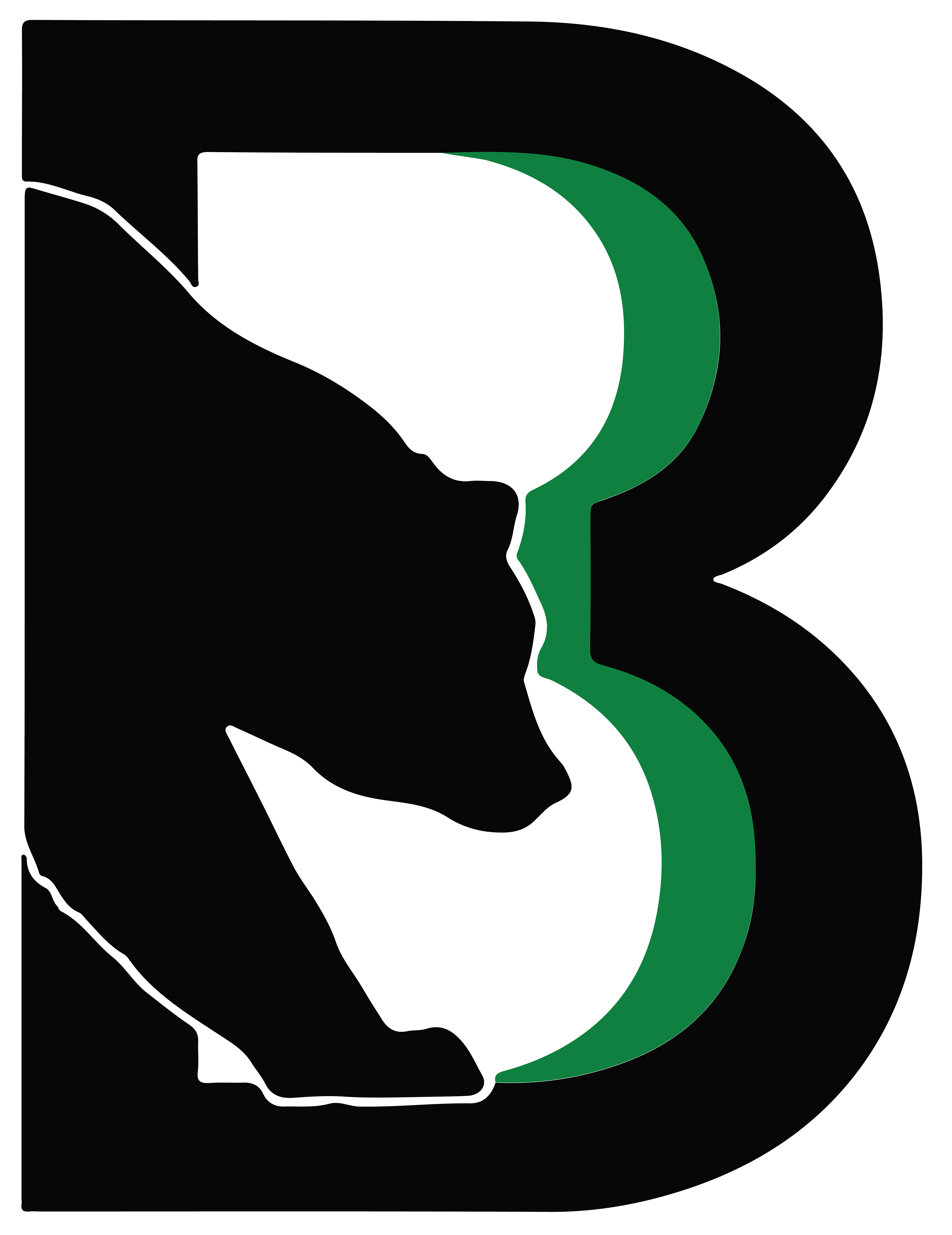 Binghamton Black Bears Logo