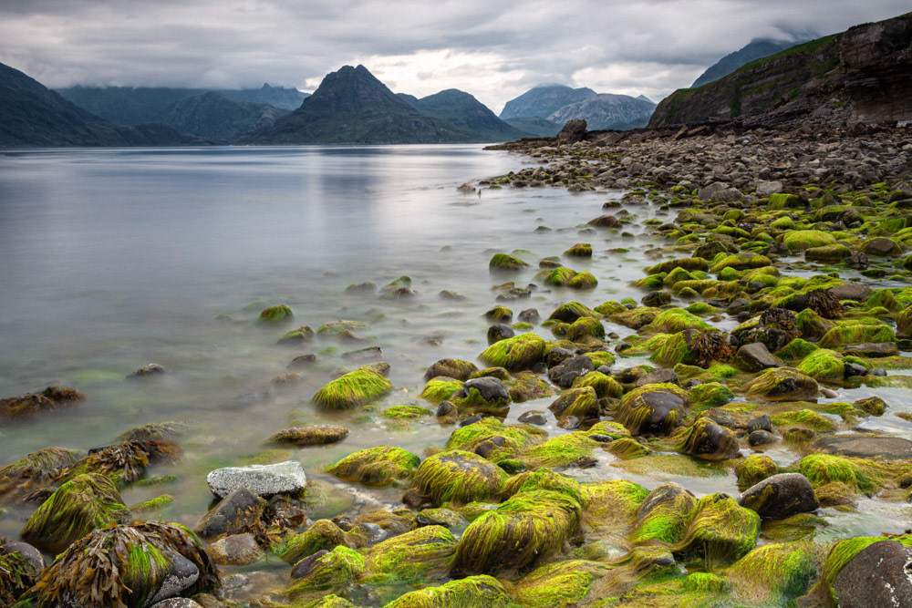 Seaweed covered rocks - Elgol, Skye, Scotland-6881