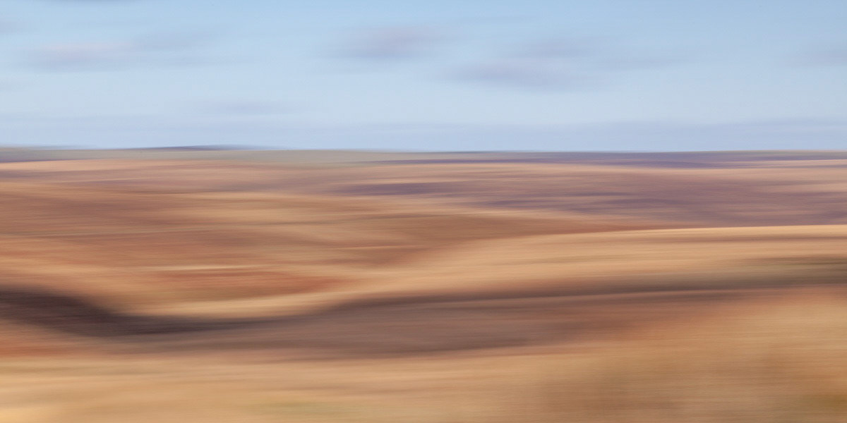 Exmoor on the move-2222