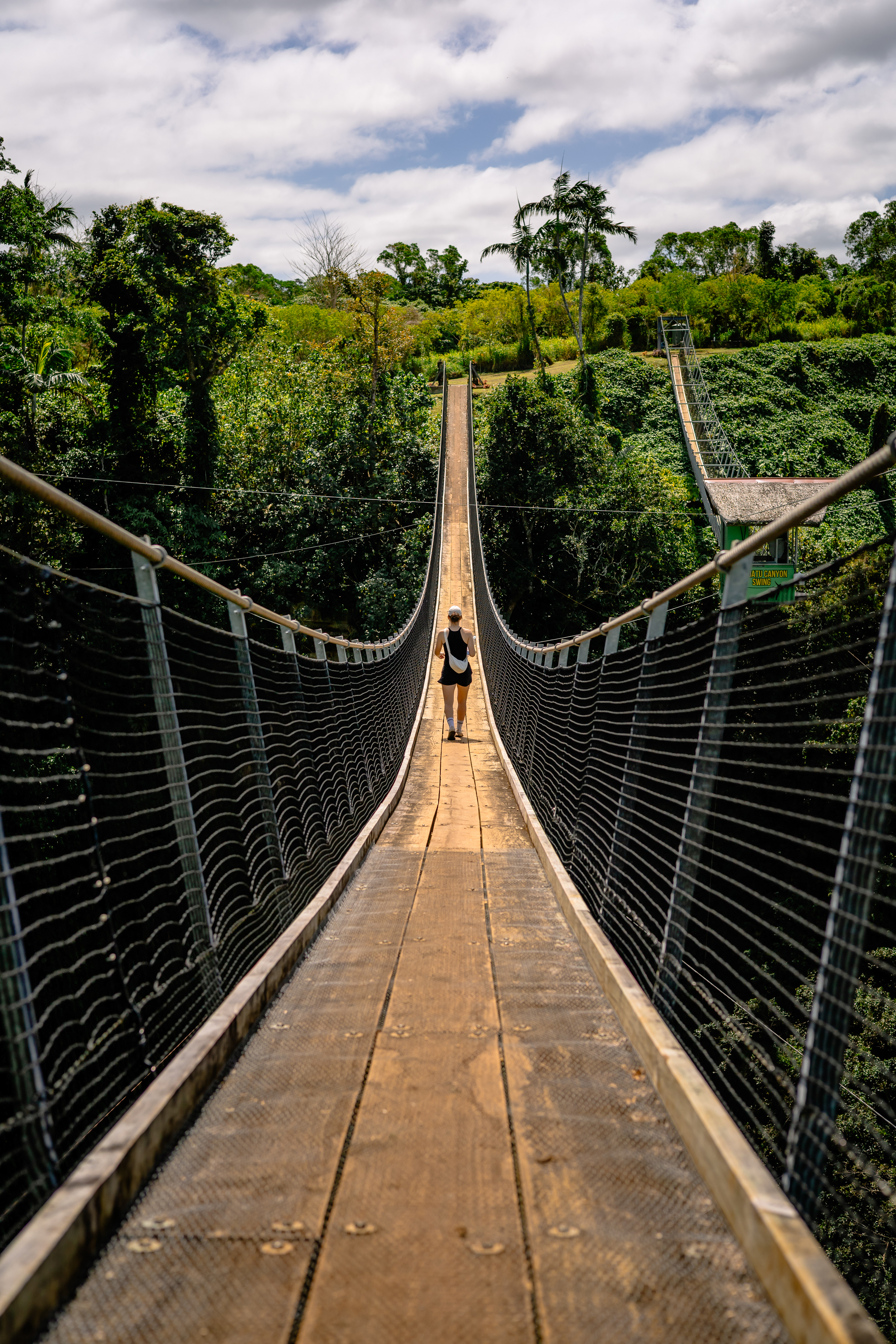 Pont suspendu - Île d'Éfaté, Vanuatu
