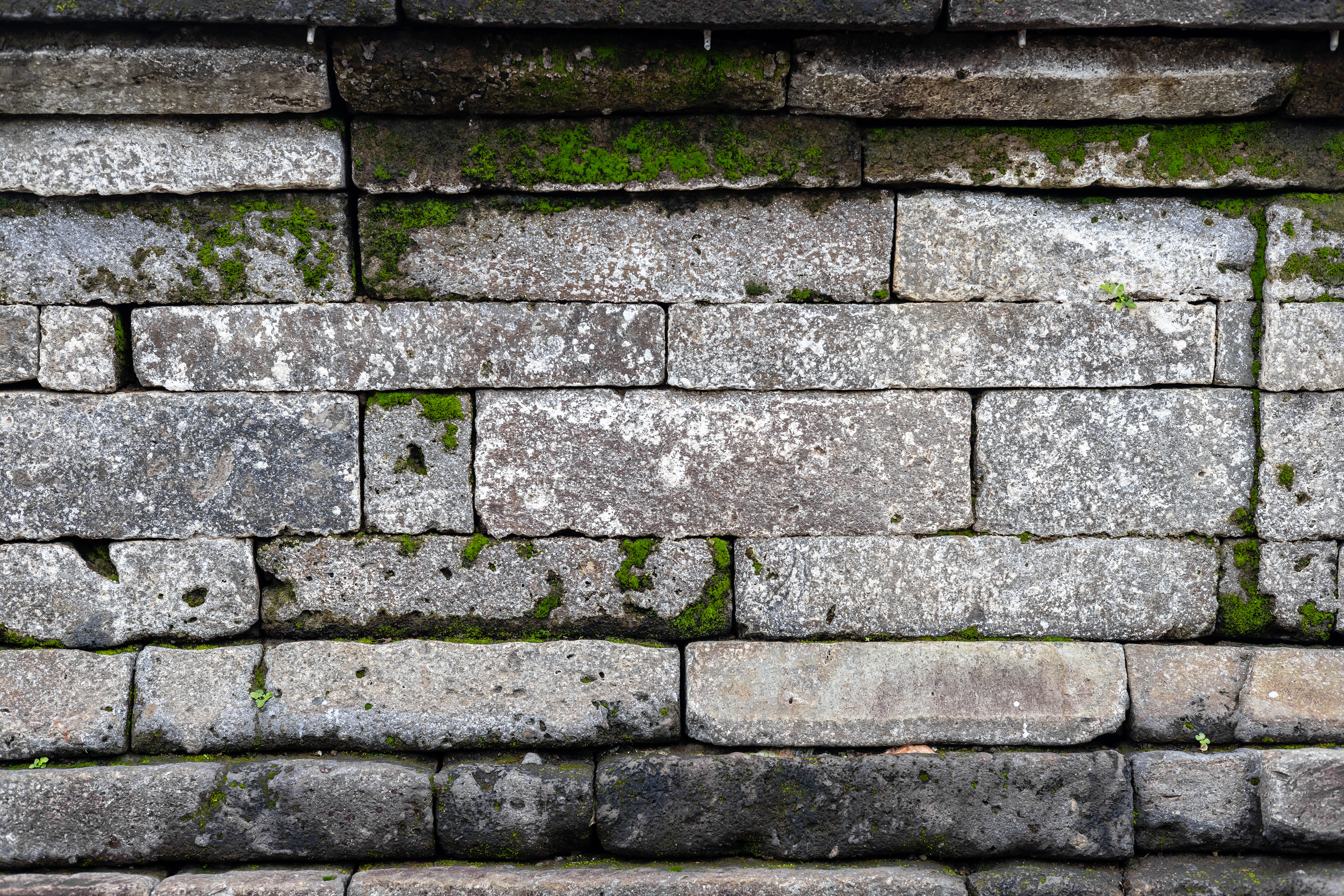 Temple Tirta Empul - Bali