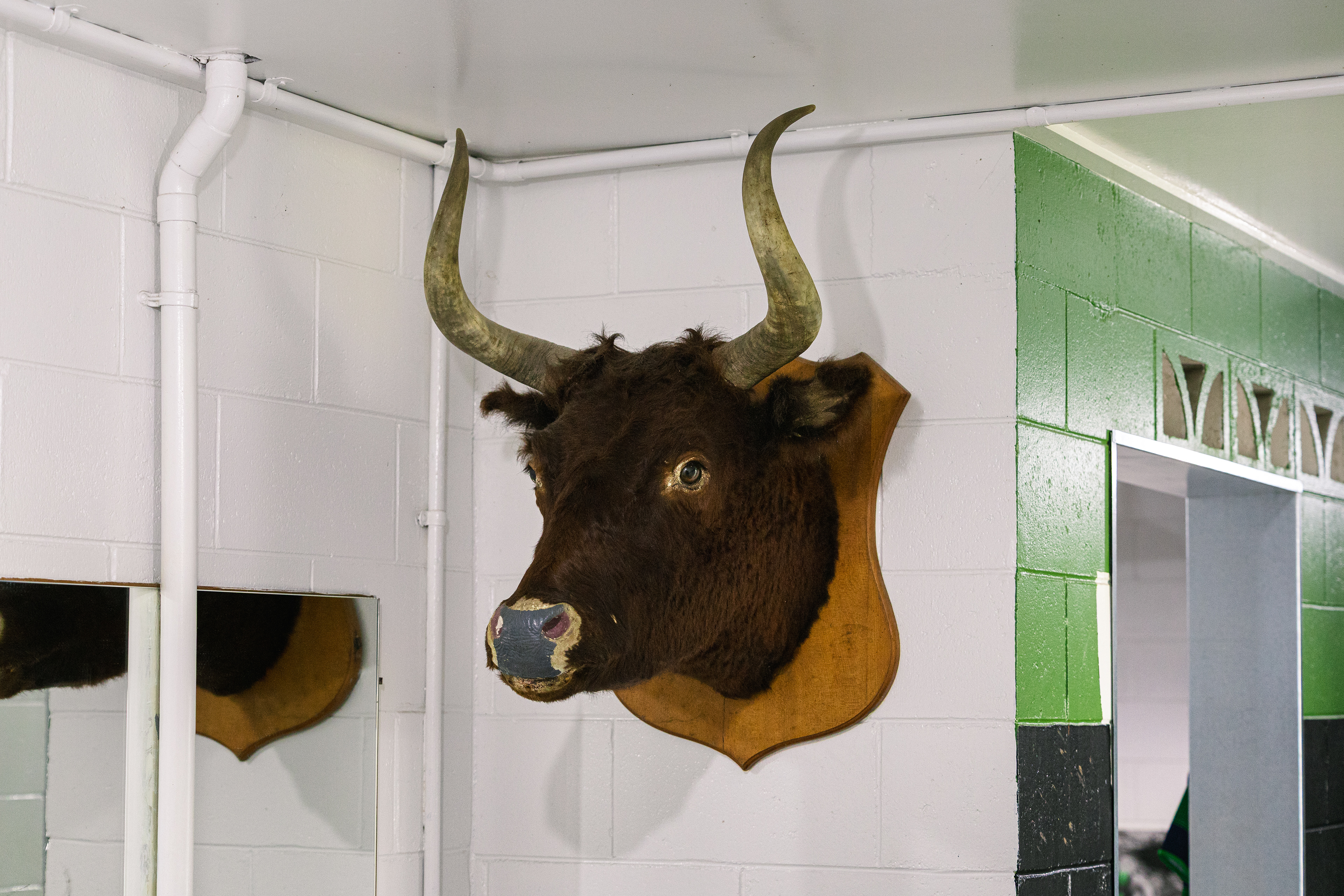 Avant-match - Christchurch, NZ