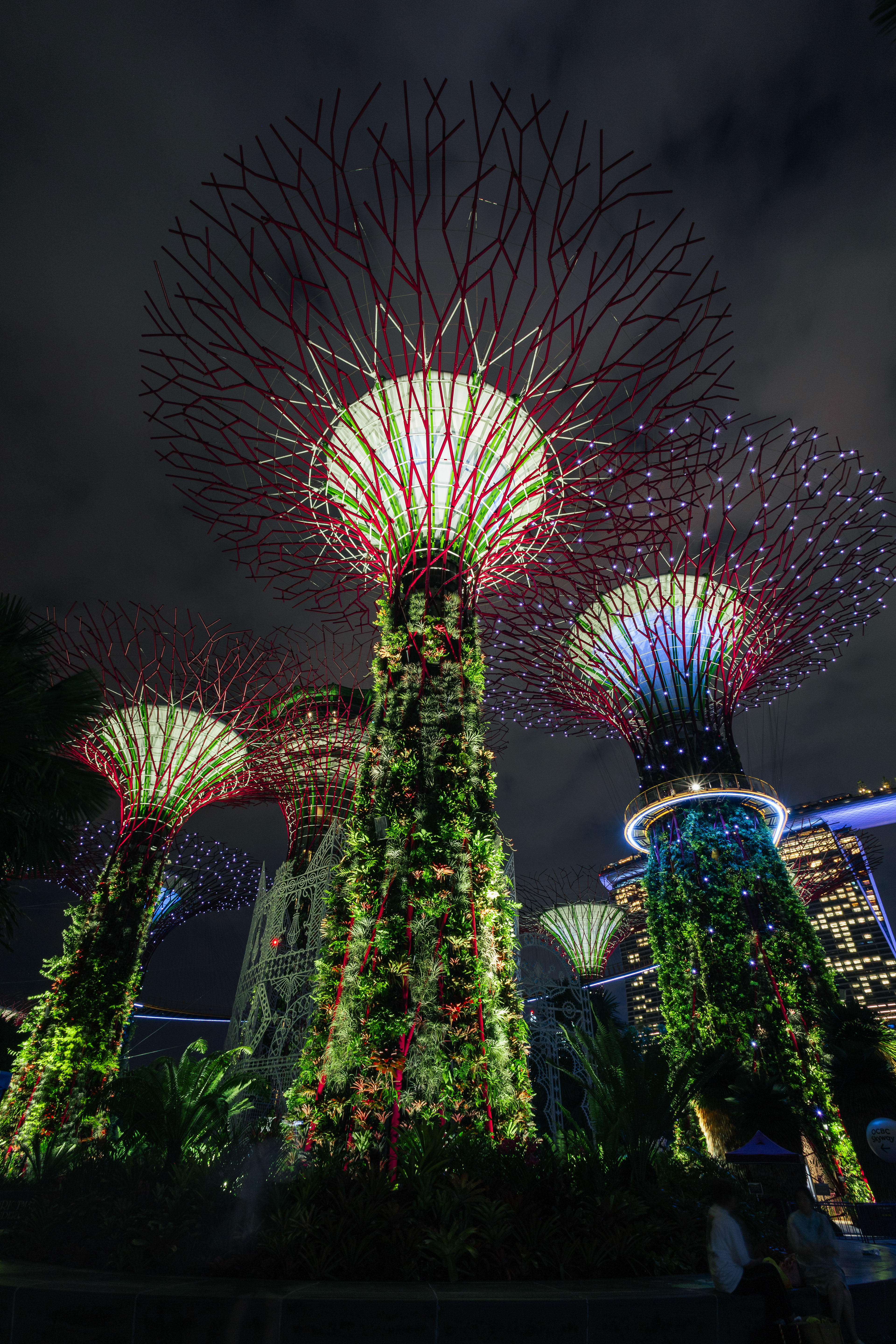Gardens by the Bay - Singapour