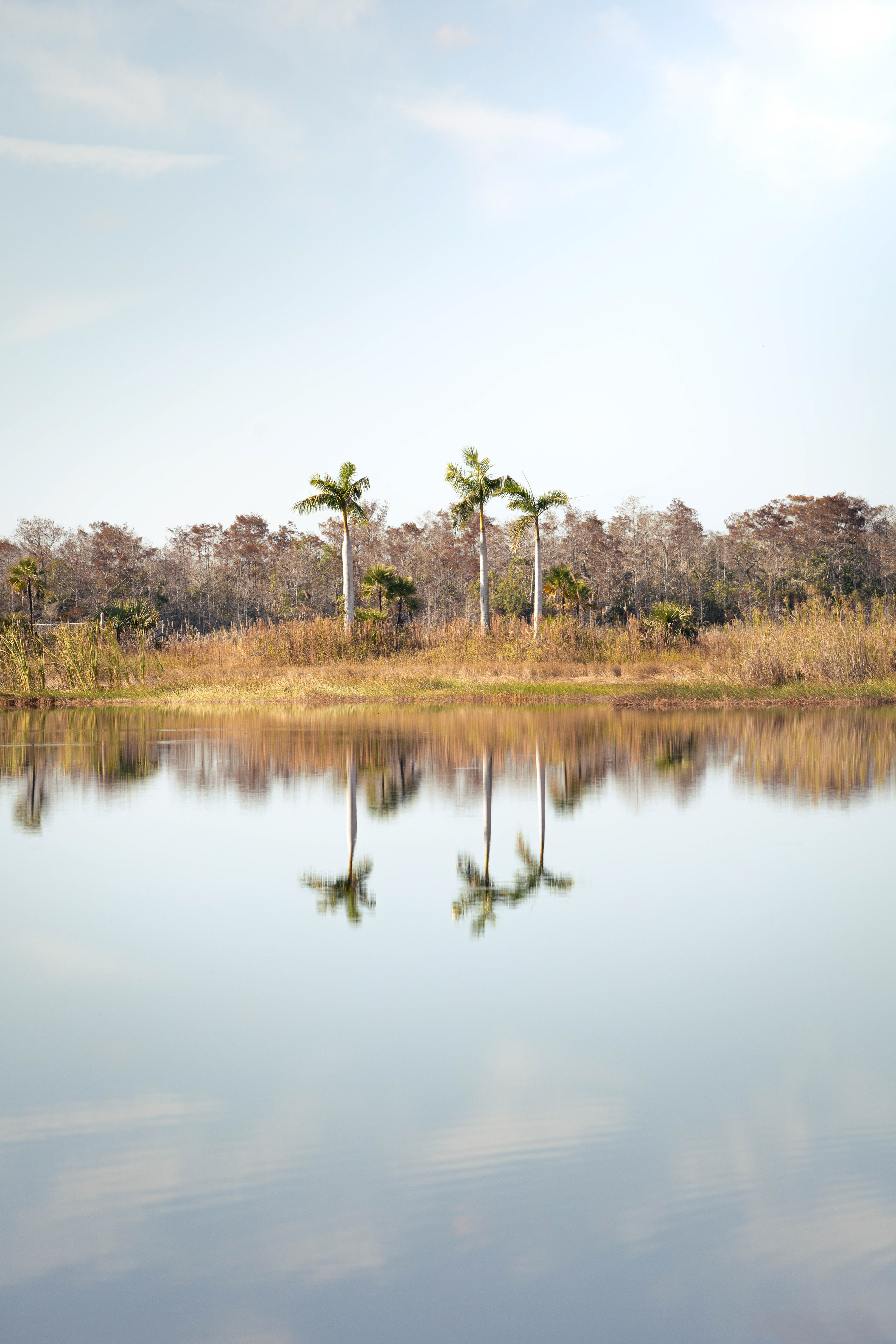 Everglades, Floride, USA