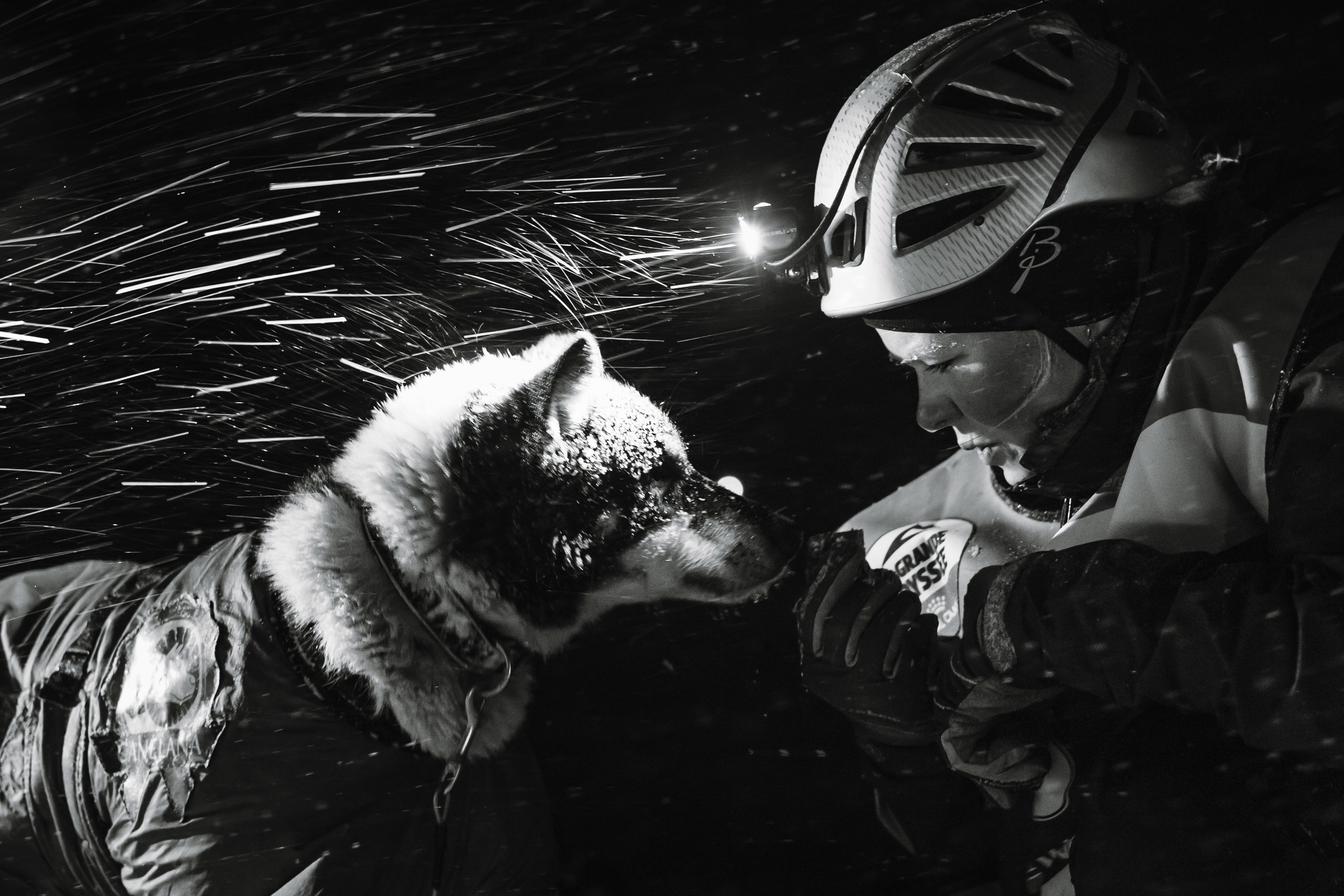 Musher et son chien dans le blizzard - Val Cenis, France
