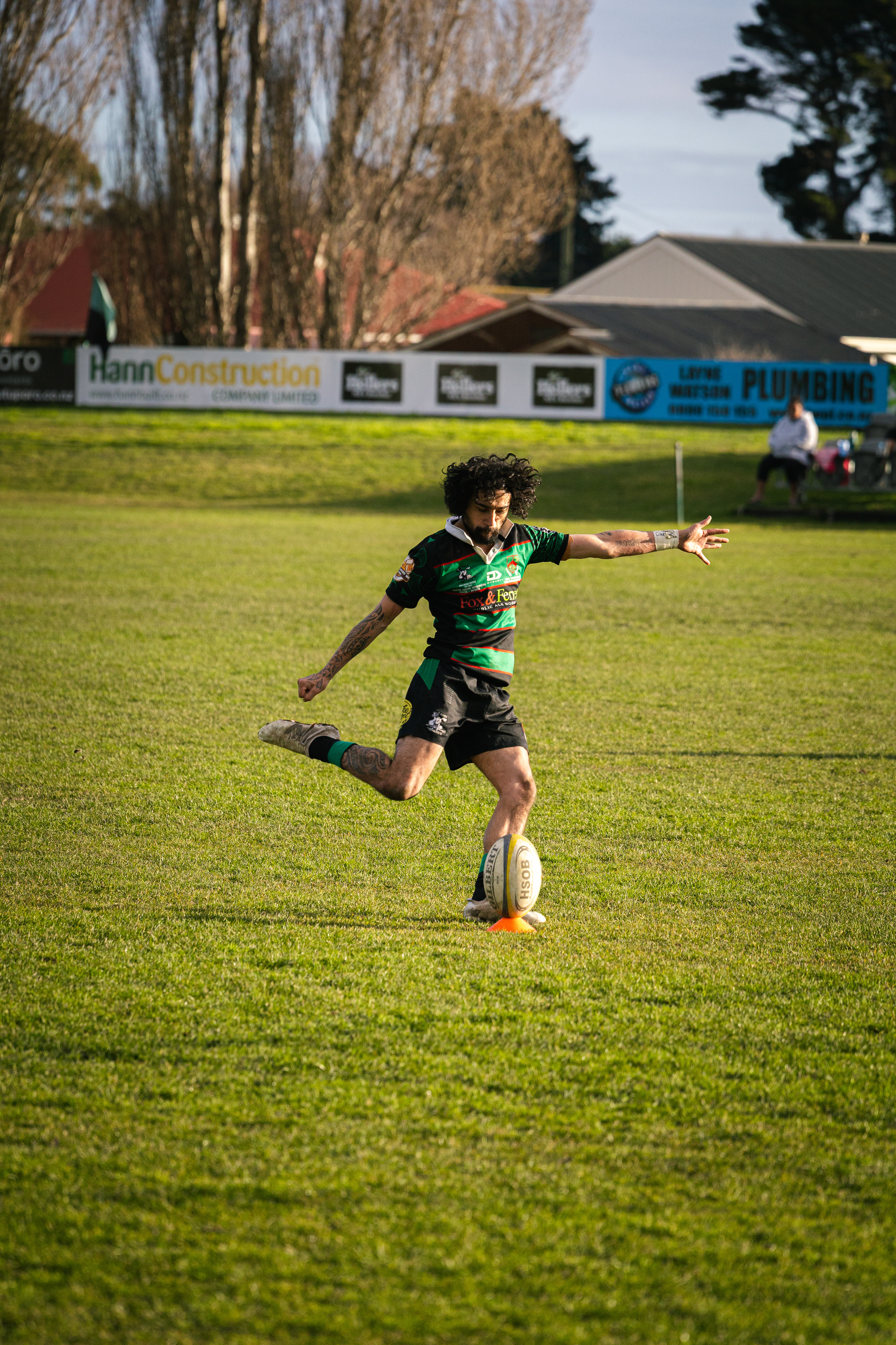 Buteur - Christchurch, NZ