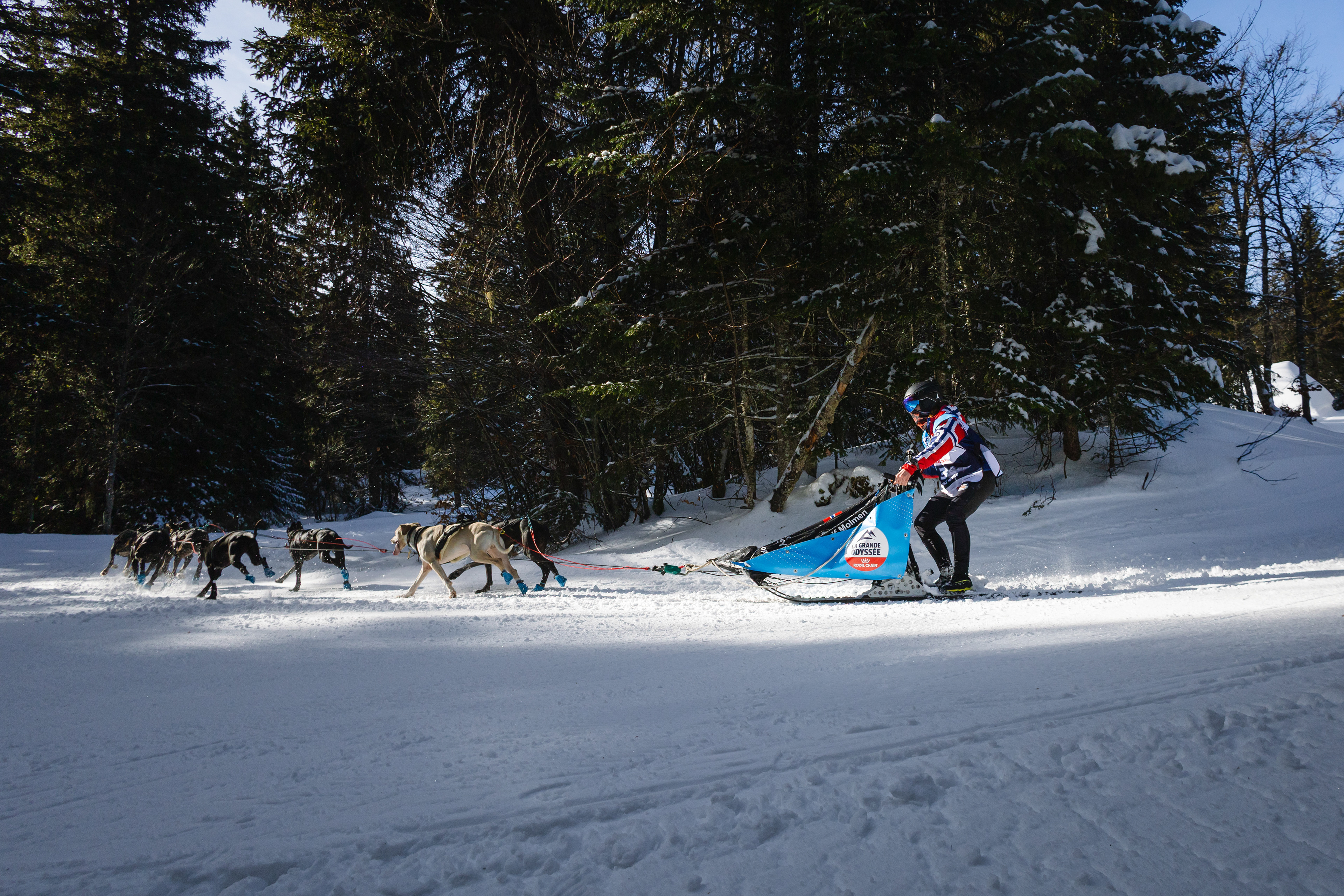 Sissel Wolf Molmen - La Féclaz, France