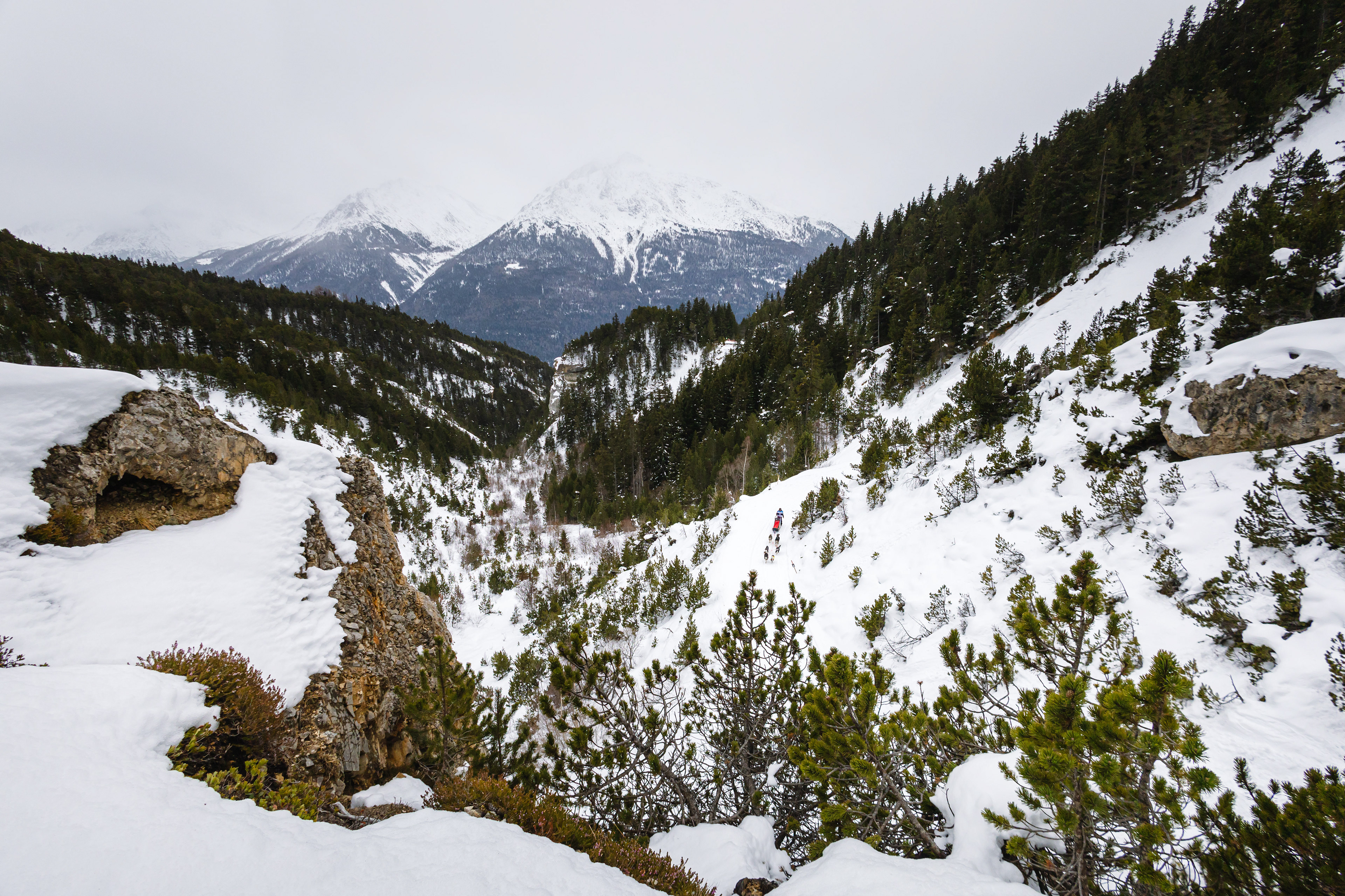Musher en course - Aussois, France