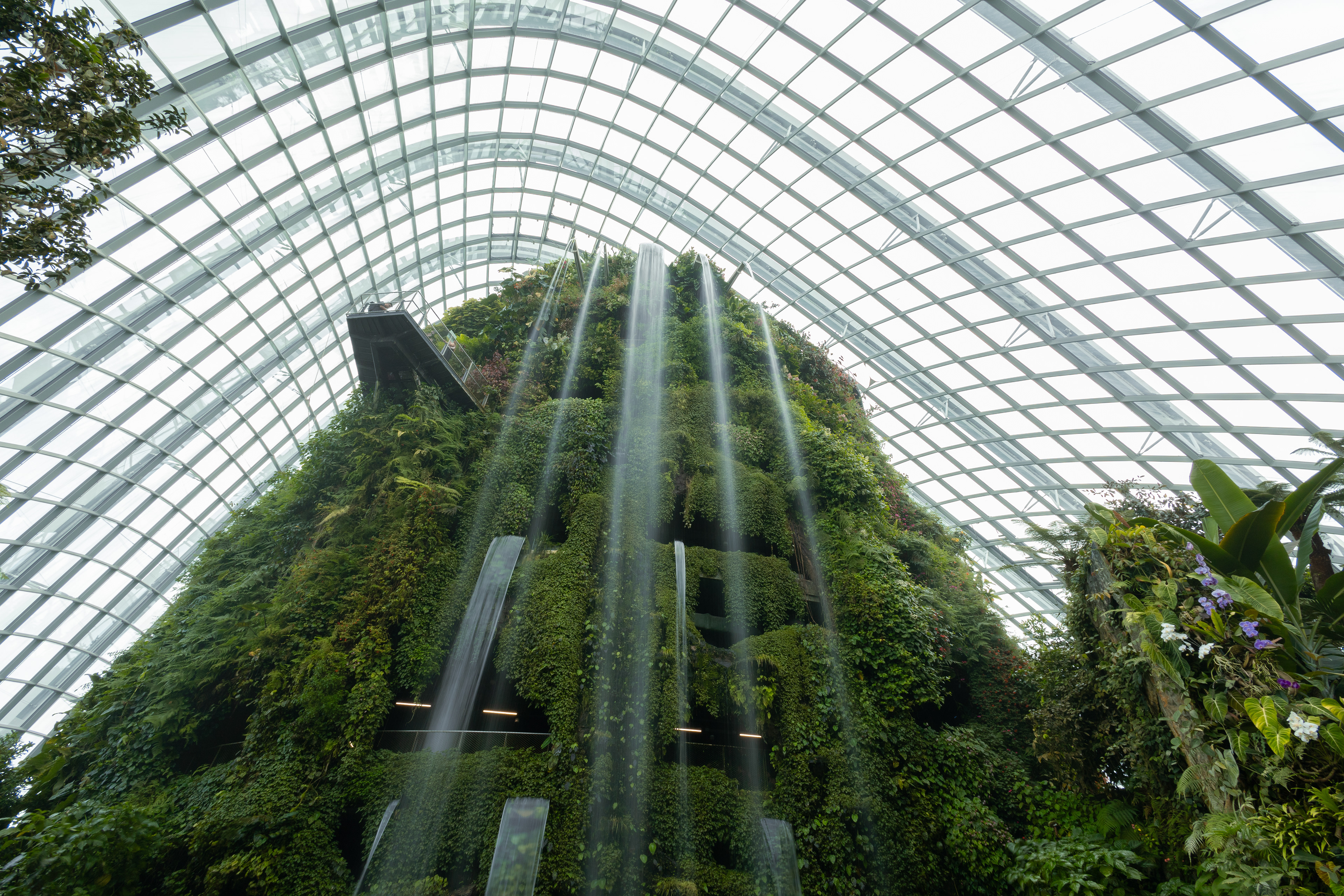 Gardens by the Bay - Singapour