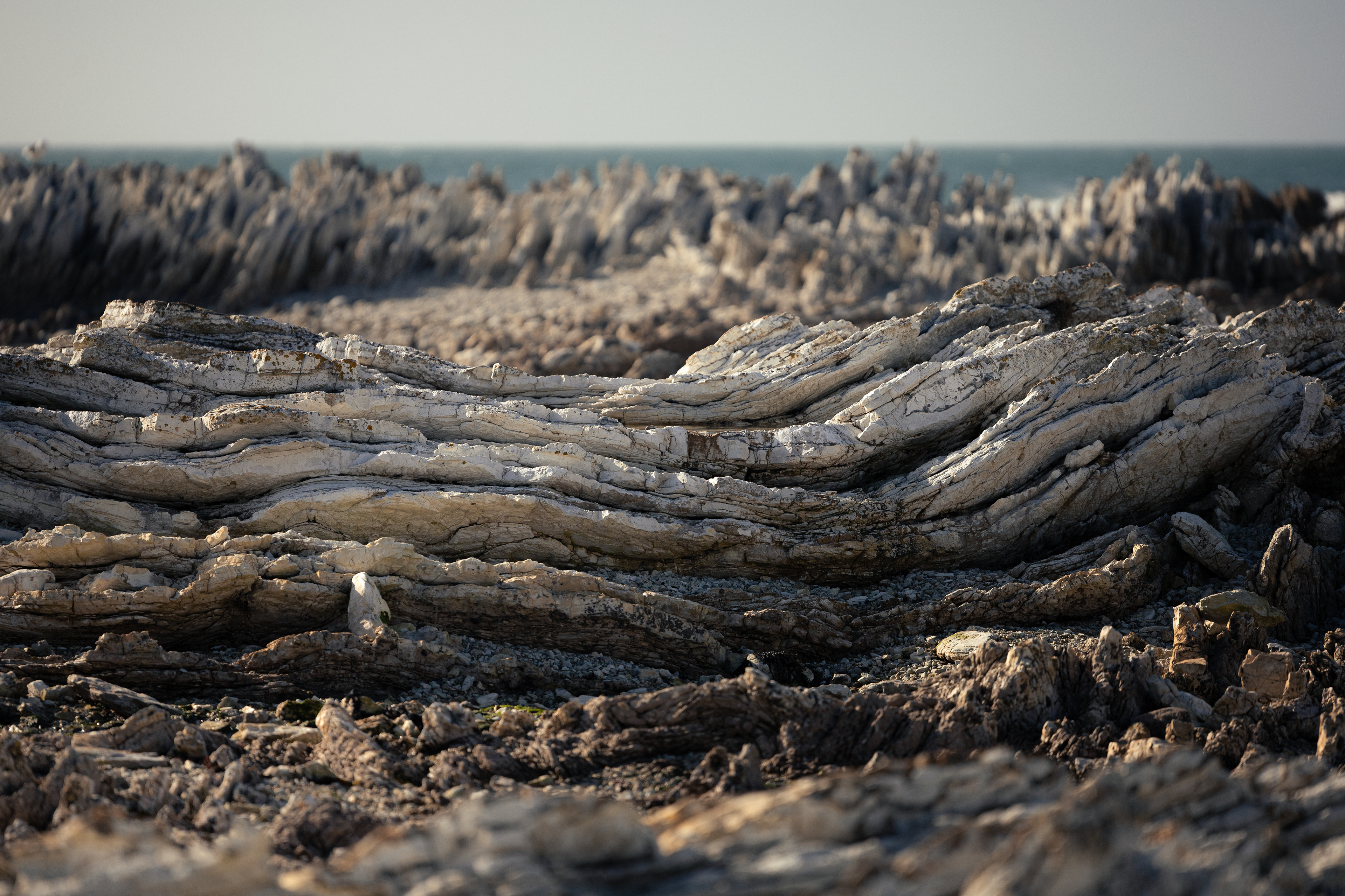 Roche pliée - Kaikōura, Nouvelle-Zélande