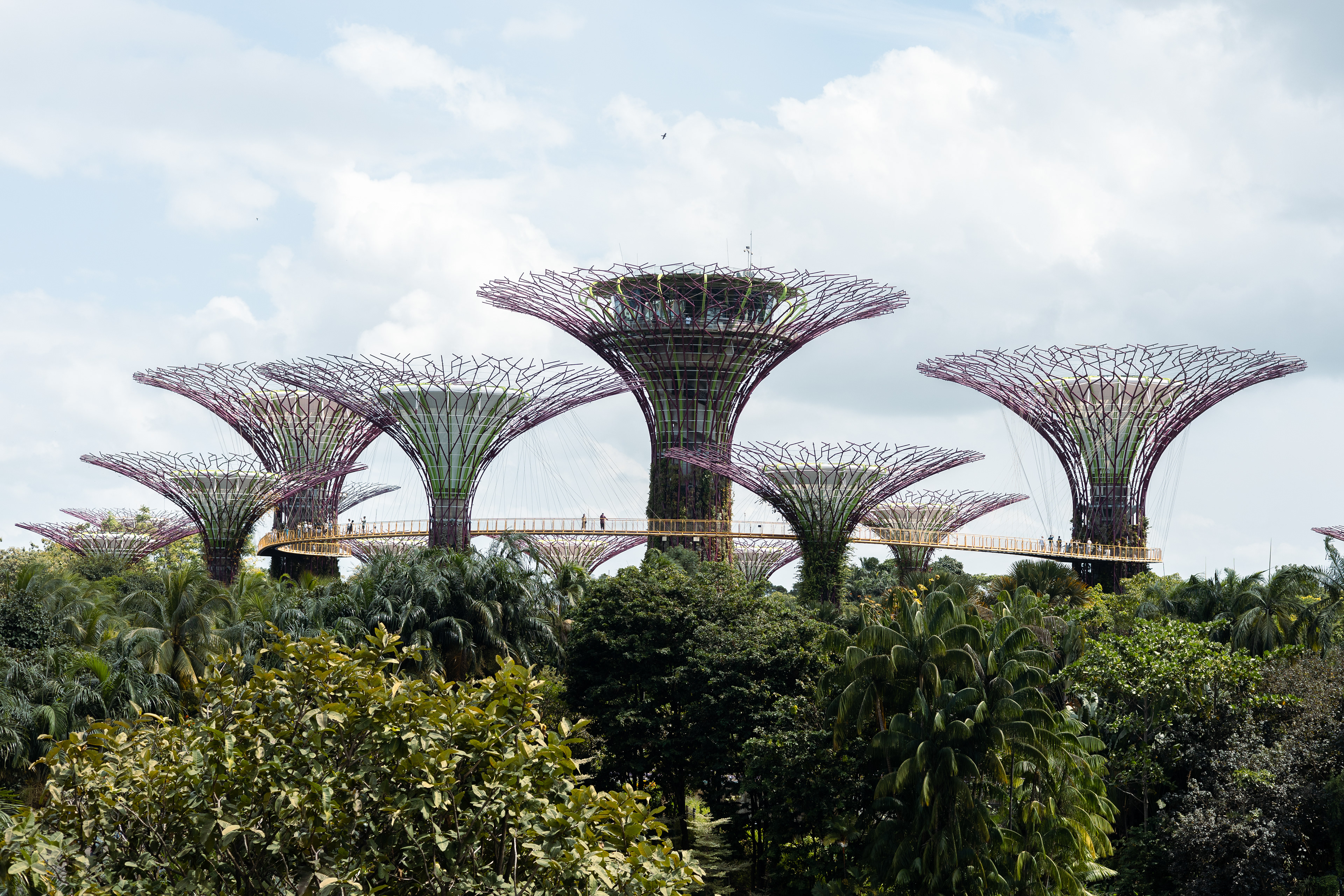 Gardens by the Bay - Singapour