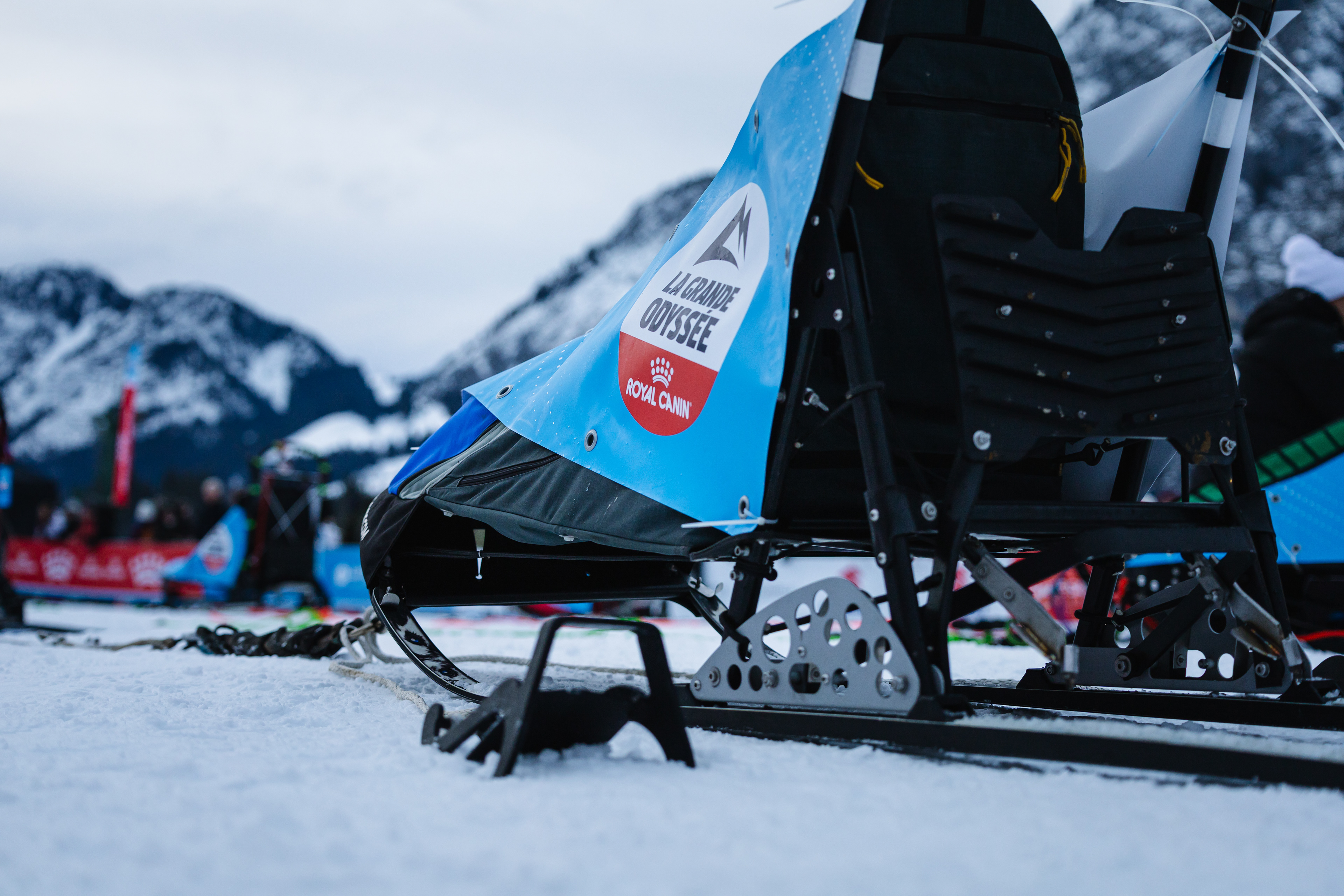 Traîneau avant le départ - La Chapelle d'Abondance, France