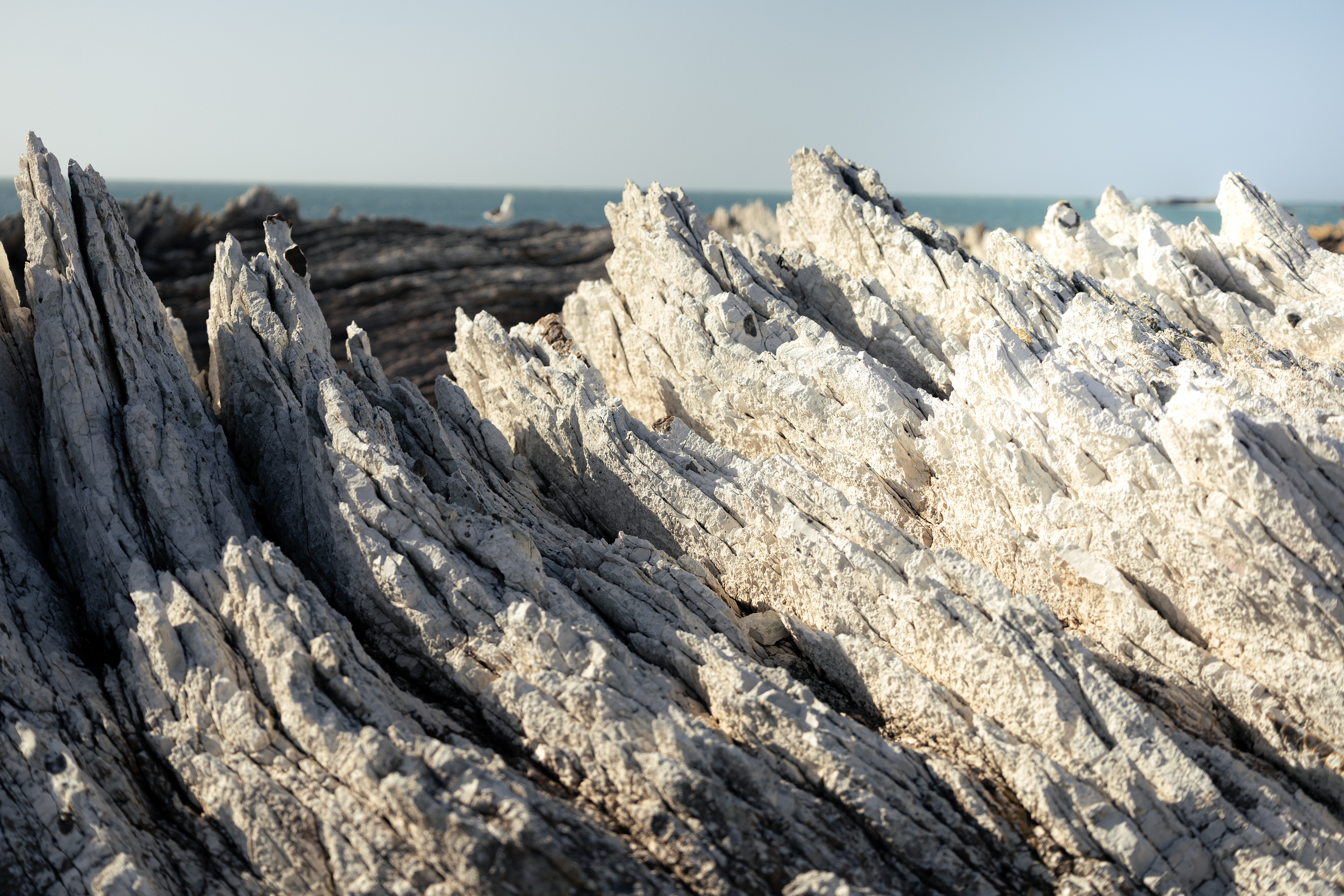 Roche pliée - Kaikōura, Nouvelle-Zélande