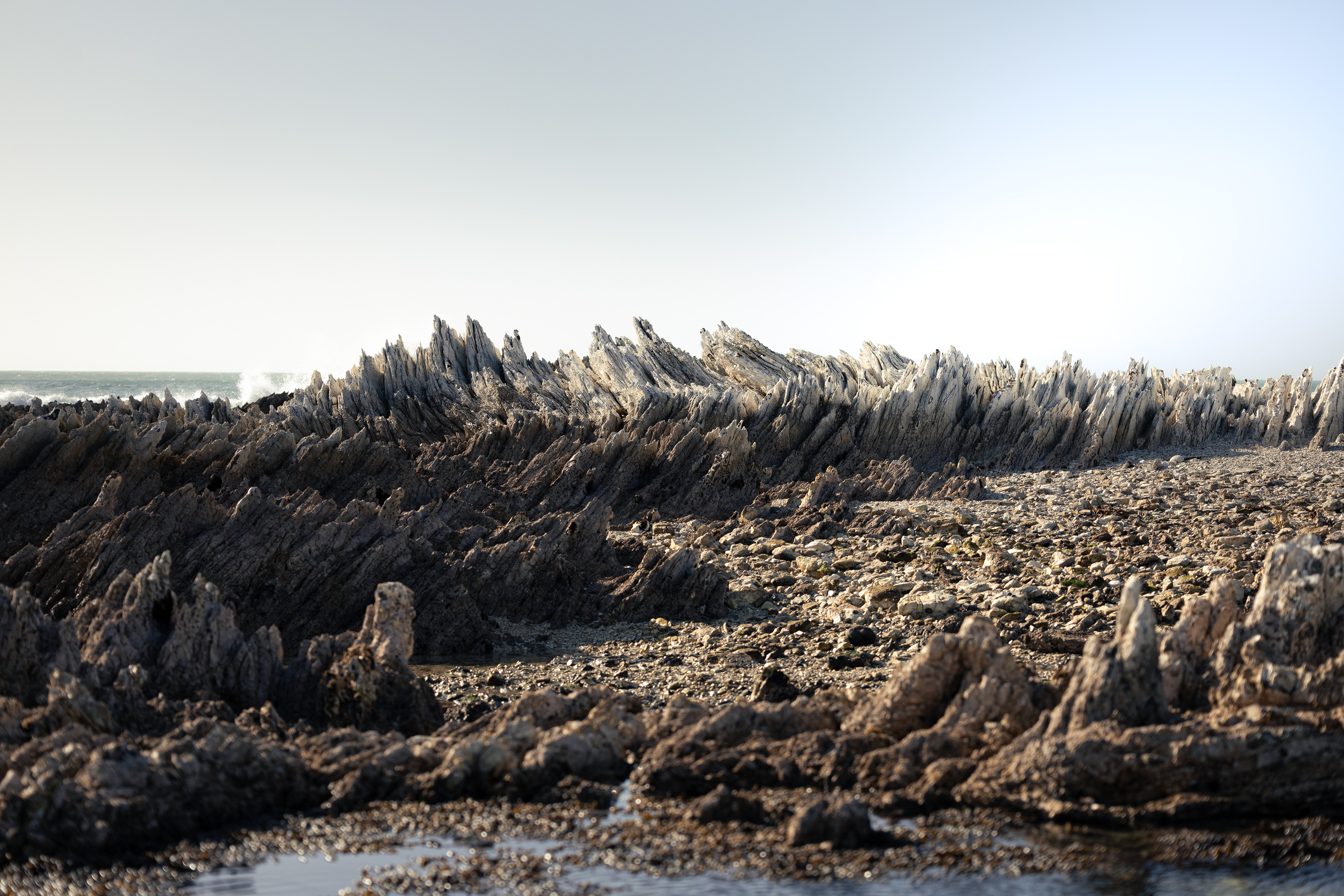 Roche pliée - Kaikōura, Nouvelle-Zélande