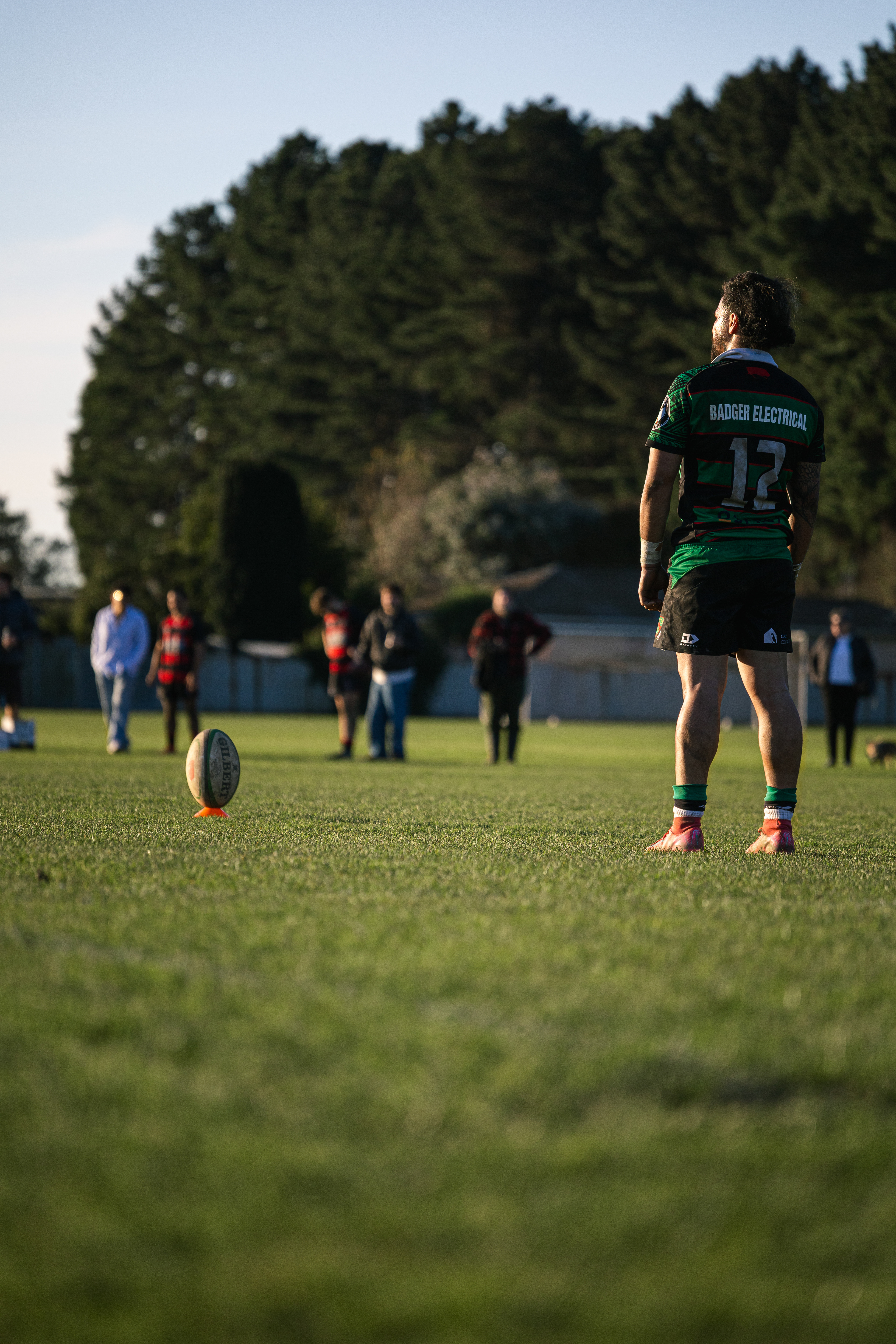 Buteur - Christchurch, NZ