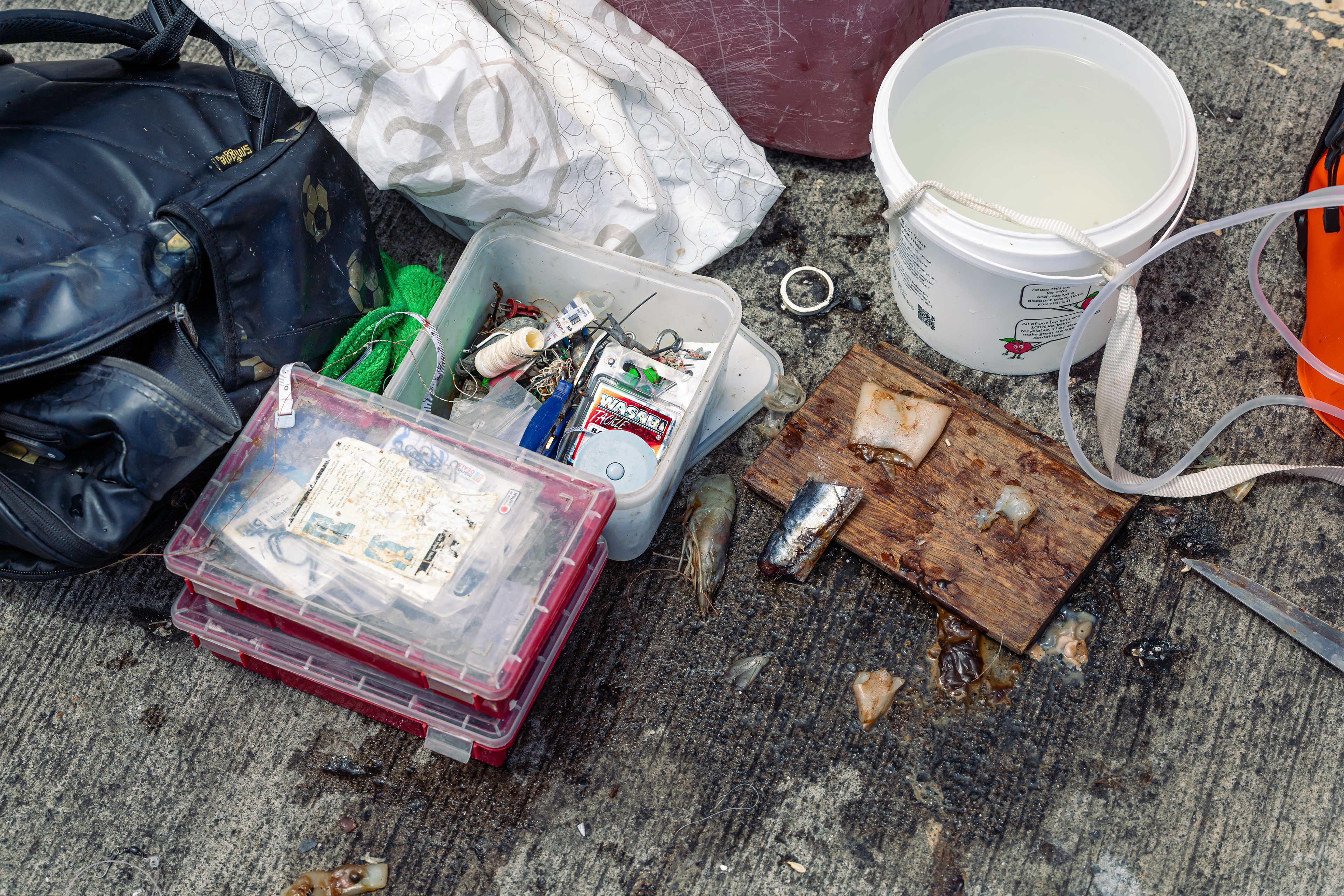 Matériel de pêche - Auckland, Nouvelle-Zélande