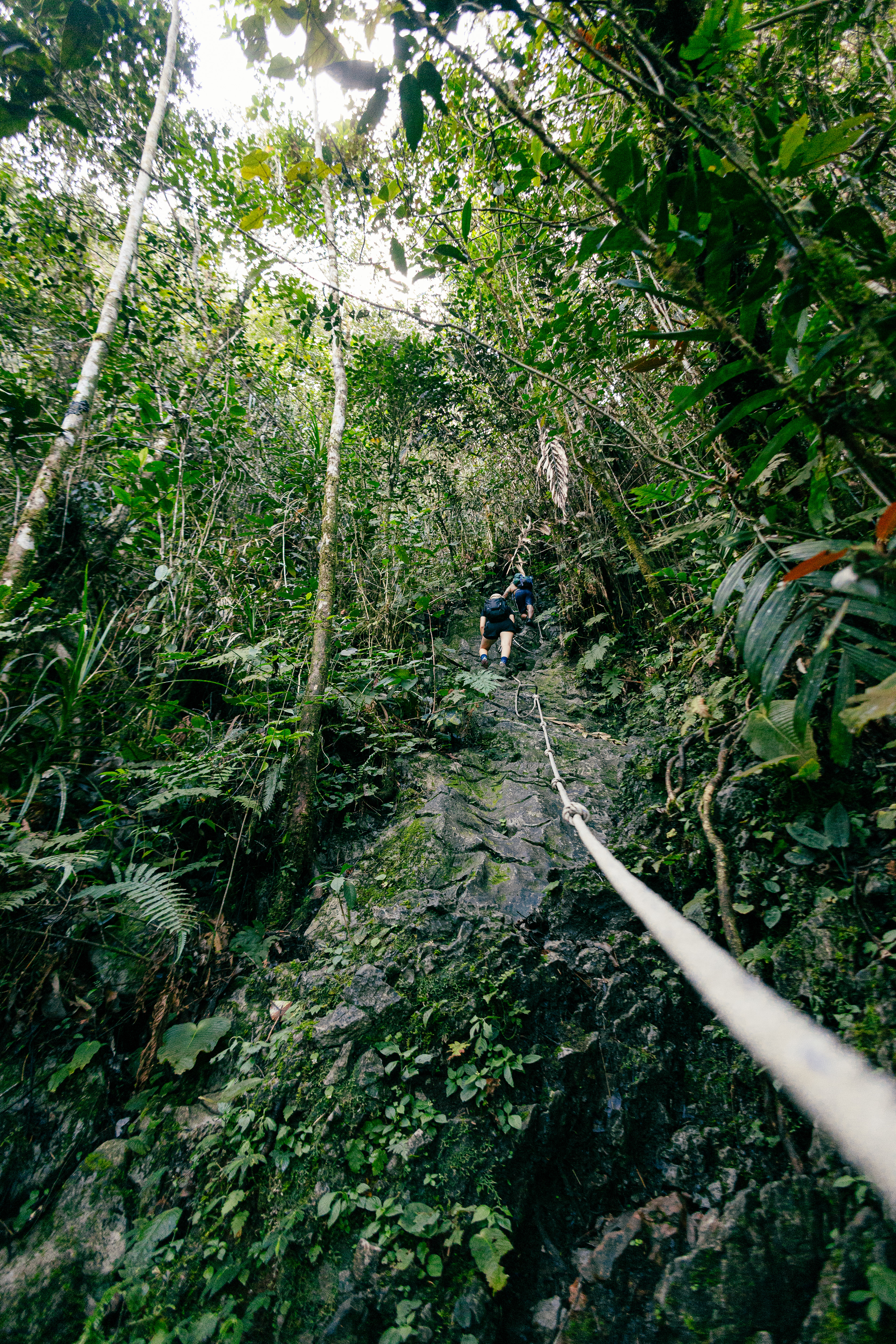 Montée vers les Pinacles - Mulu National Park