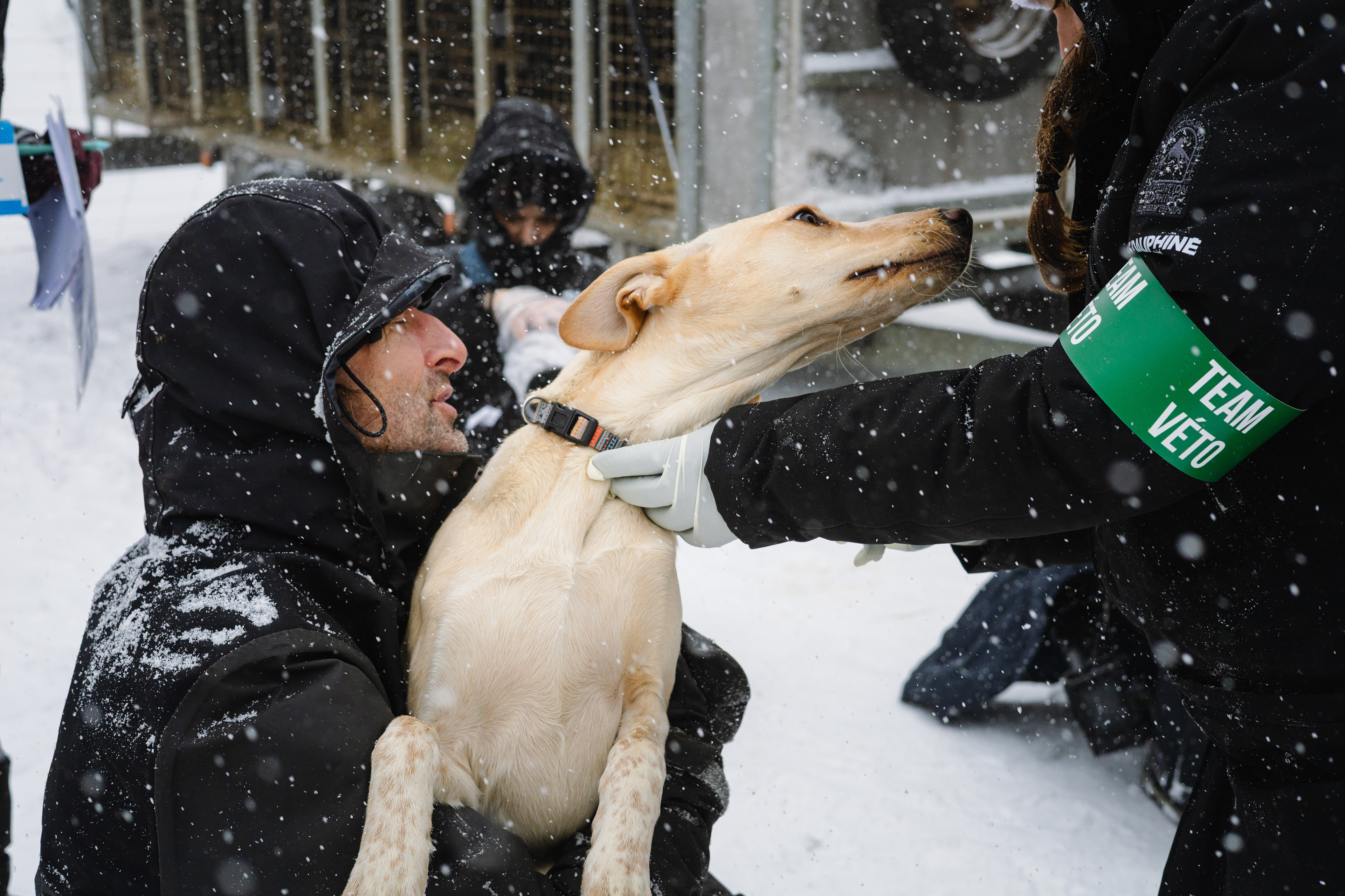 Check-up vétérinaire - Avoriaz, France