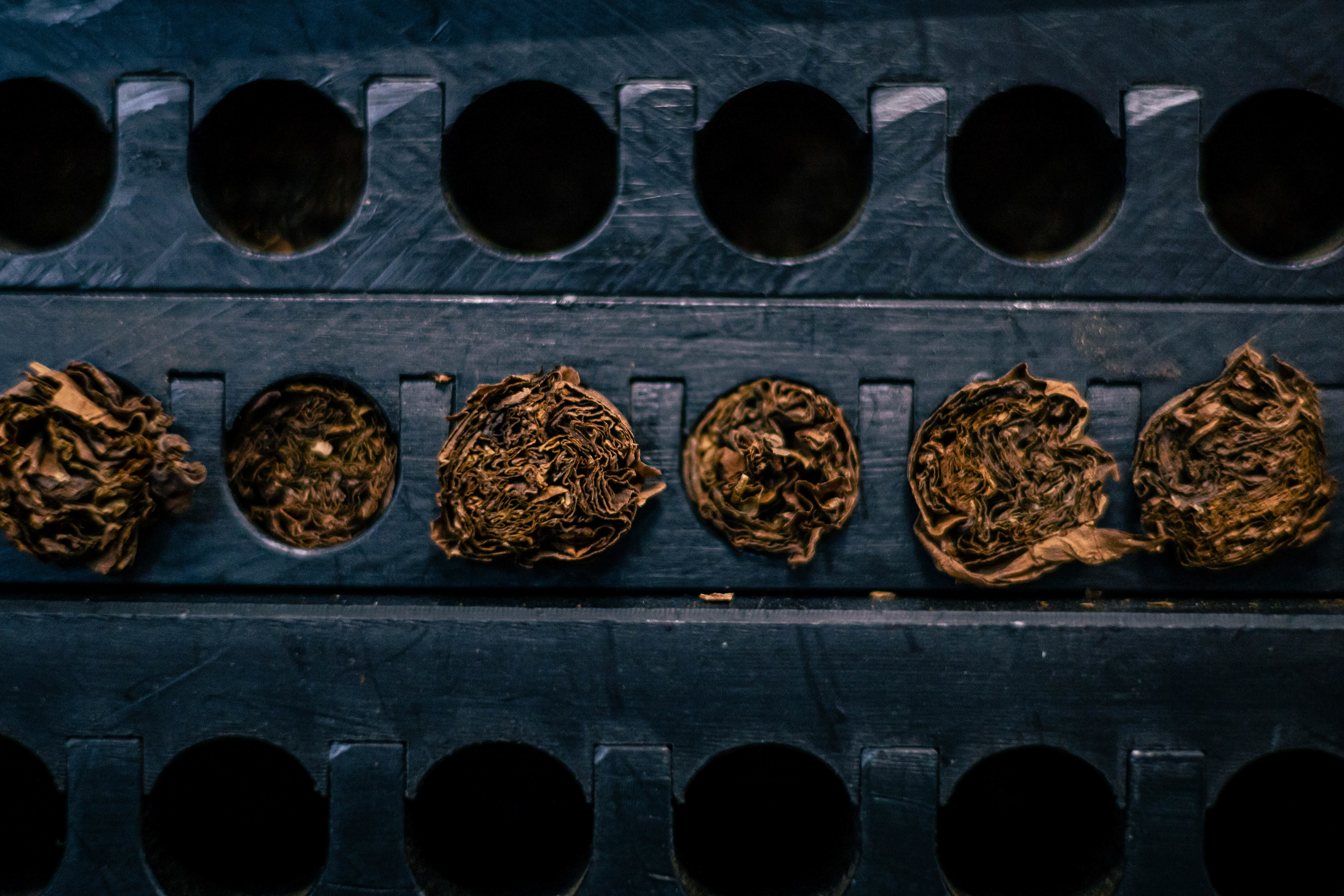 Presse pour cigares - Calle Ocho, Floride, Miami