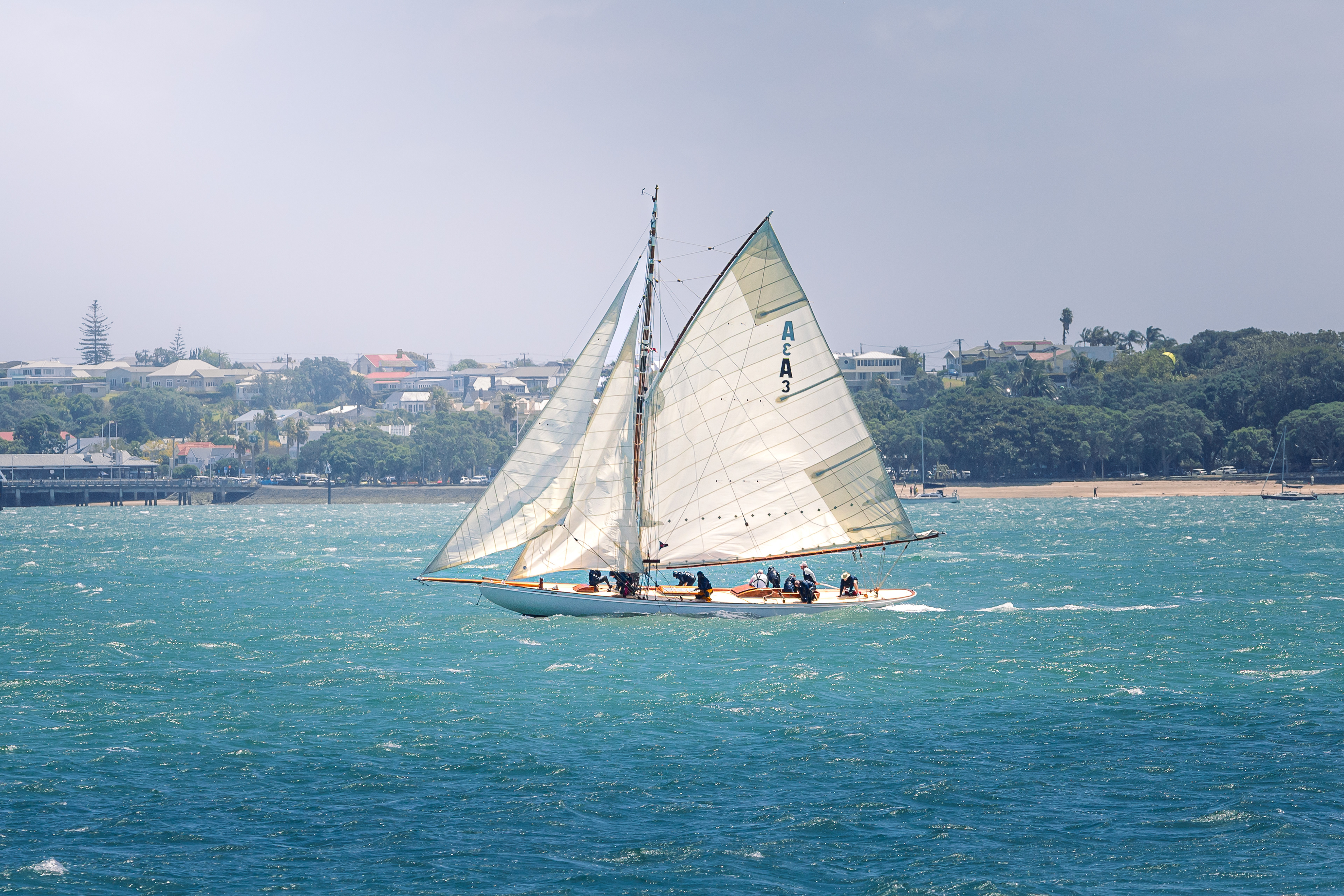 Bateau de la régate de l'indépendance - Auckland, Nouvelle-Zélande