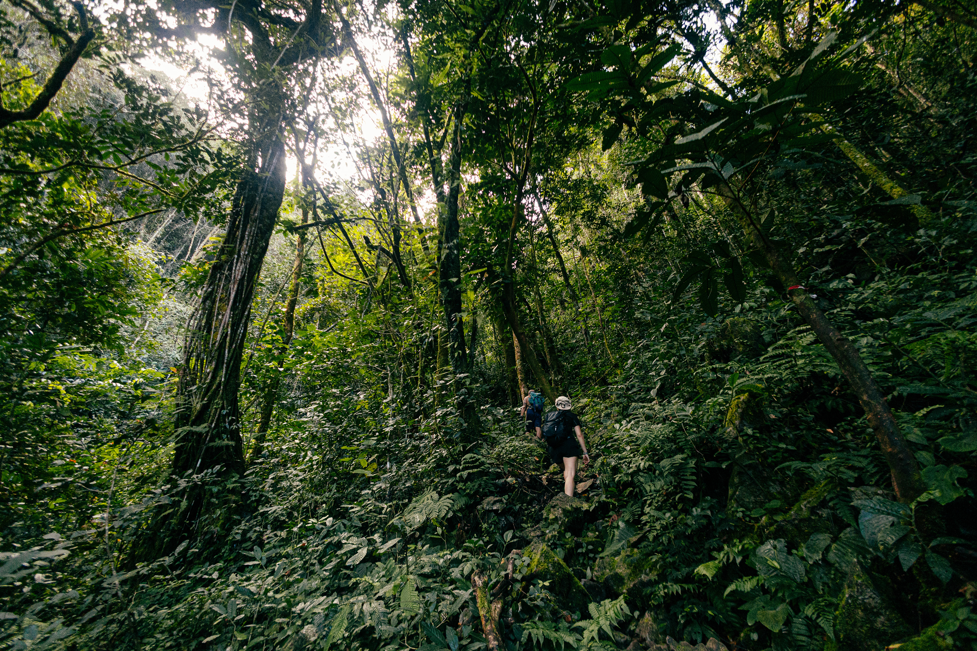 Montée vers les Pinacles - Mulu National Park