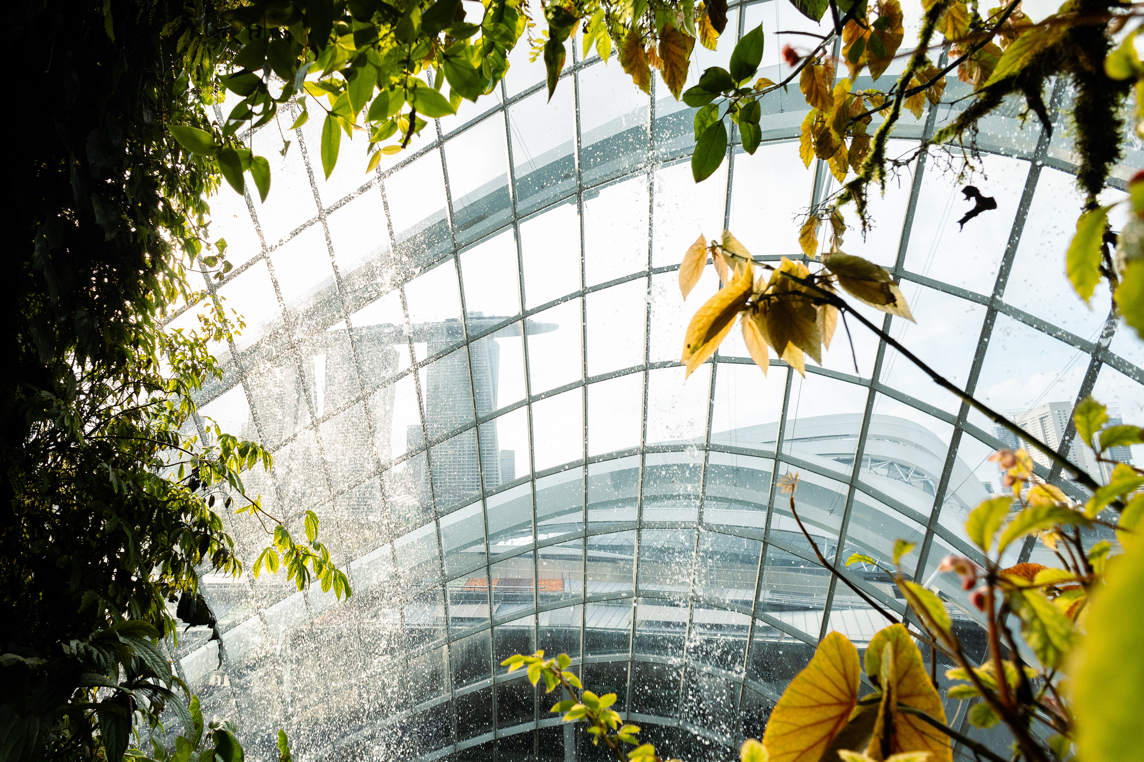 Gardens by the Bay - Singapour