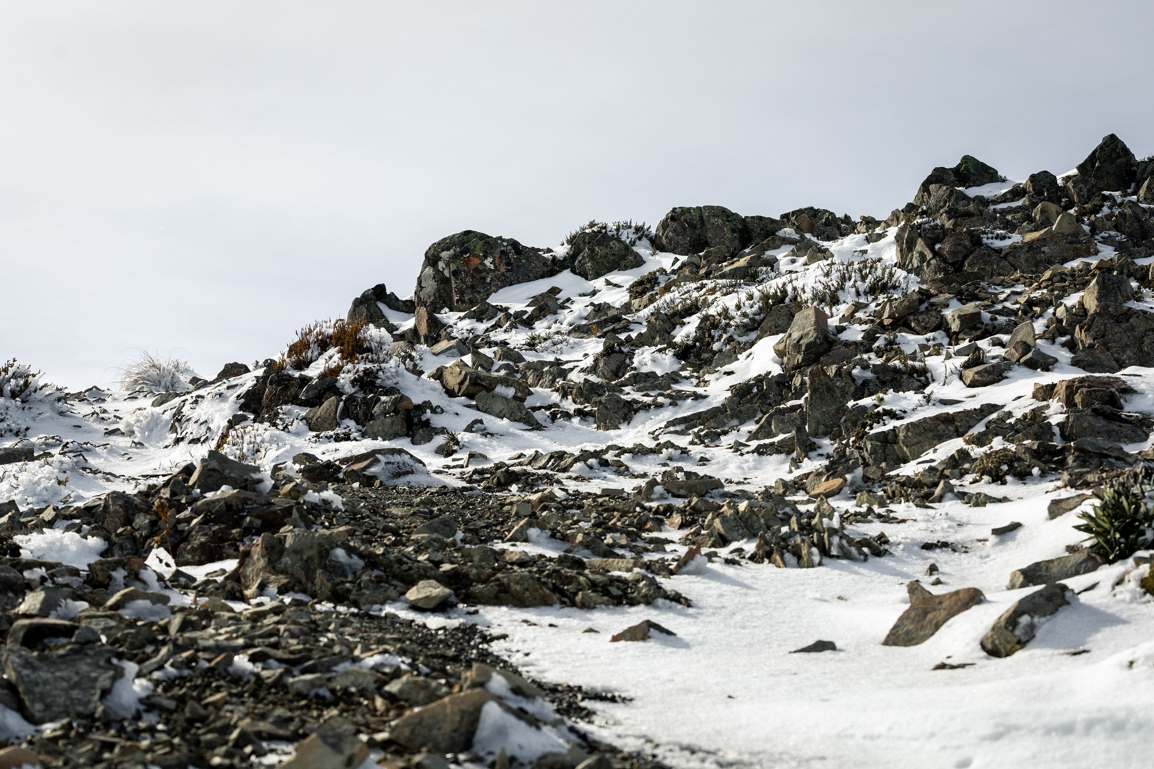 Après la tempête de neige - Hamner Spring, Nouvelle-Zélande