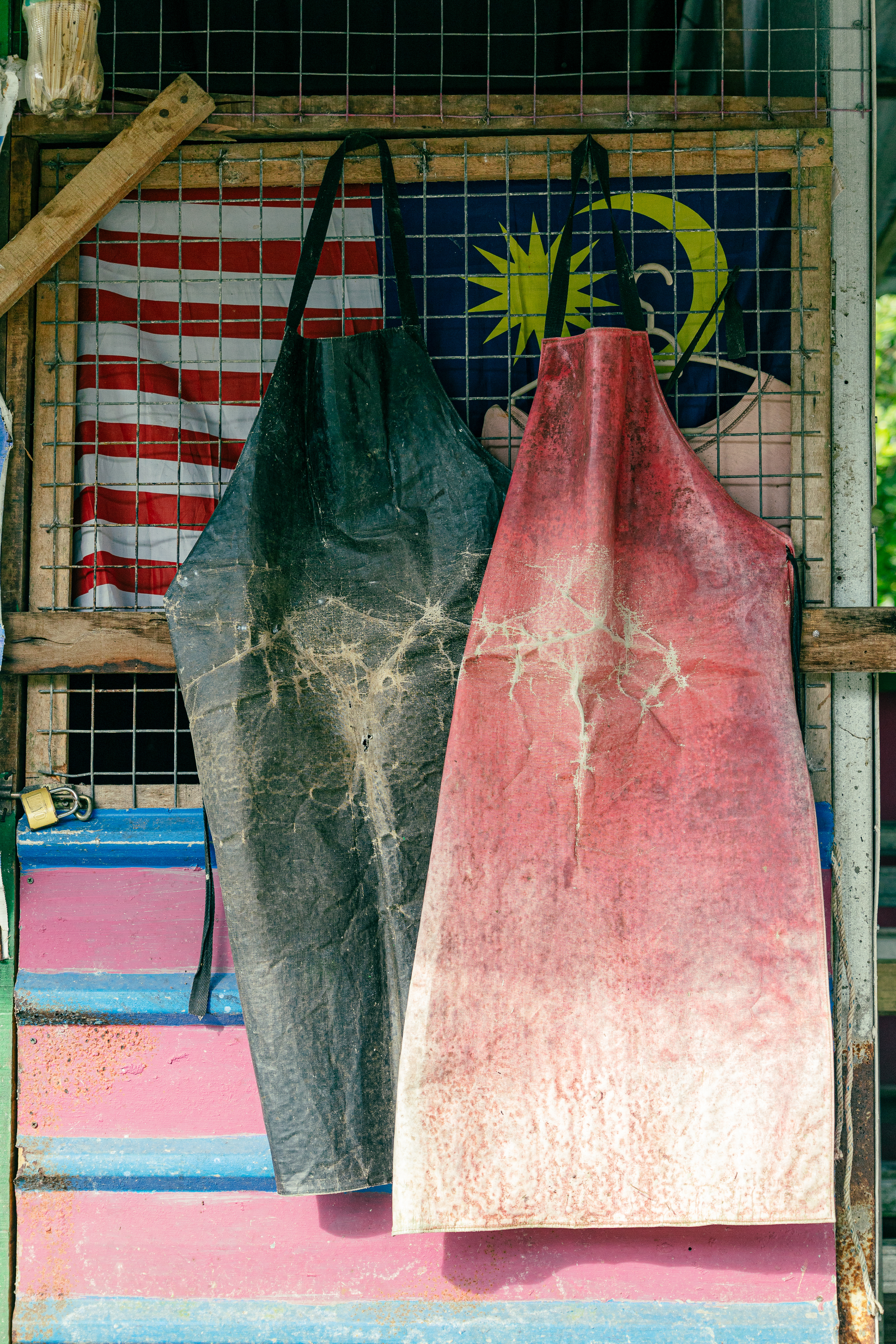 Bako National Park, Bornéo