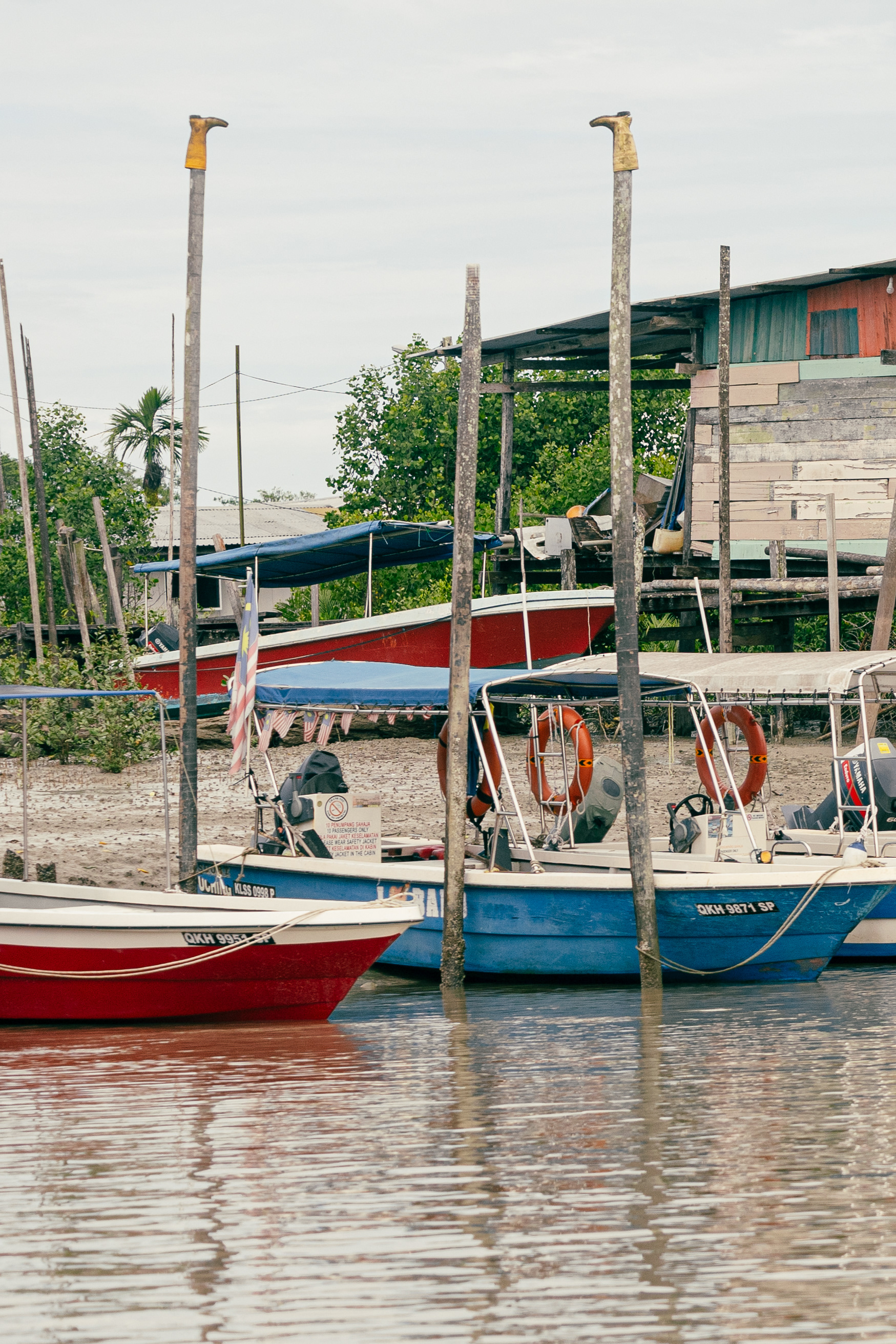 Bako National Park, Bornéo