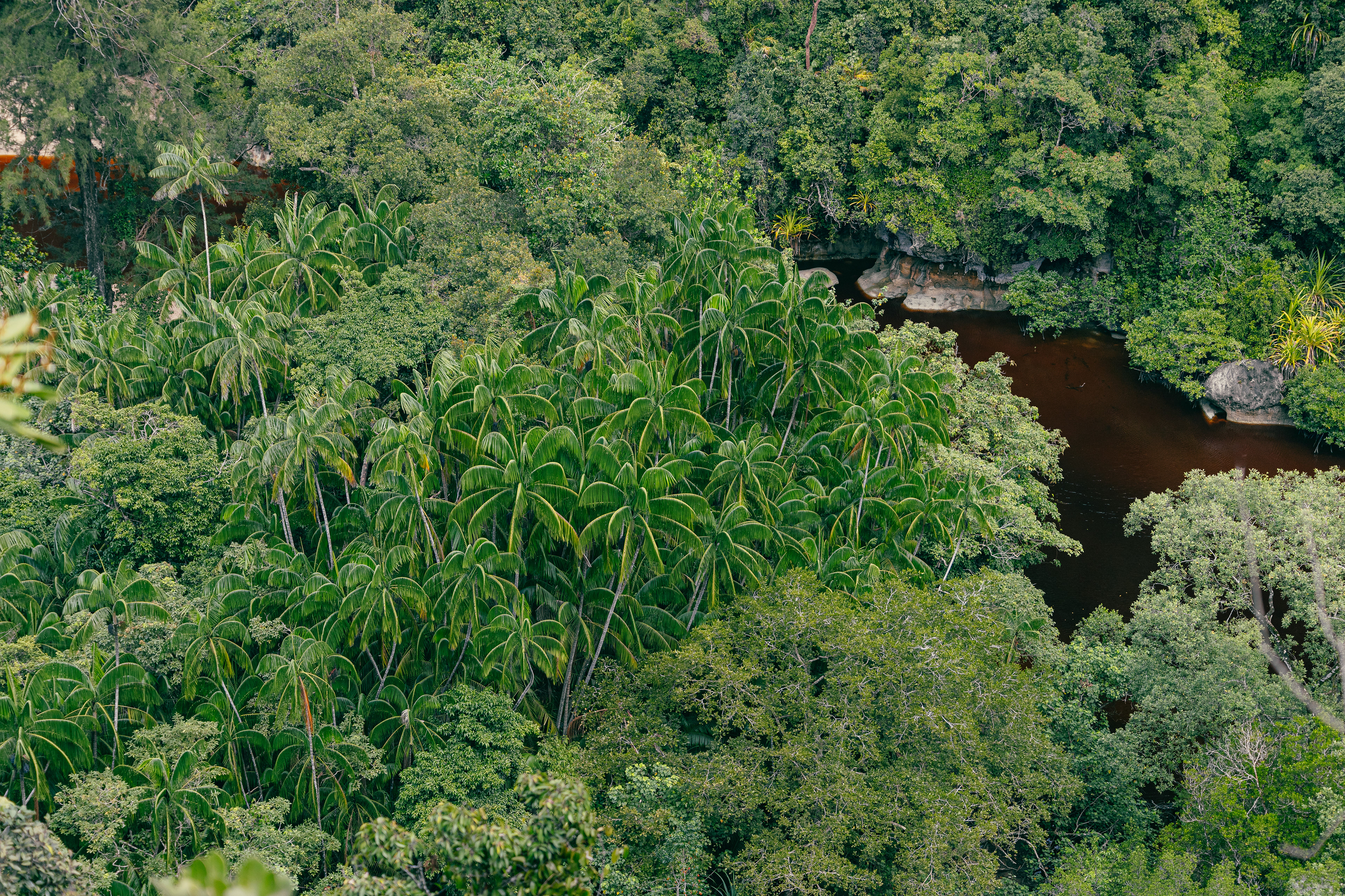 Bako National Park, Bornéo