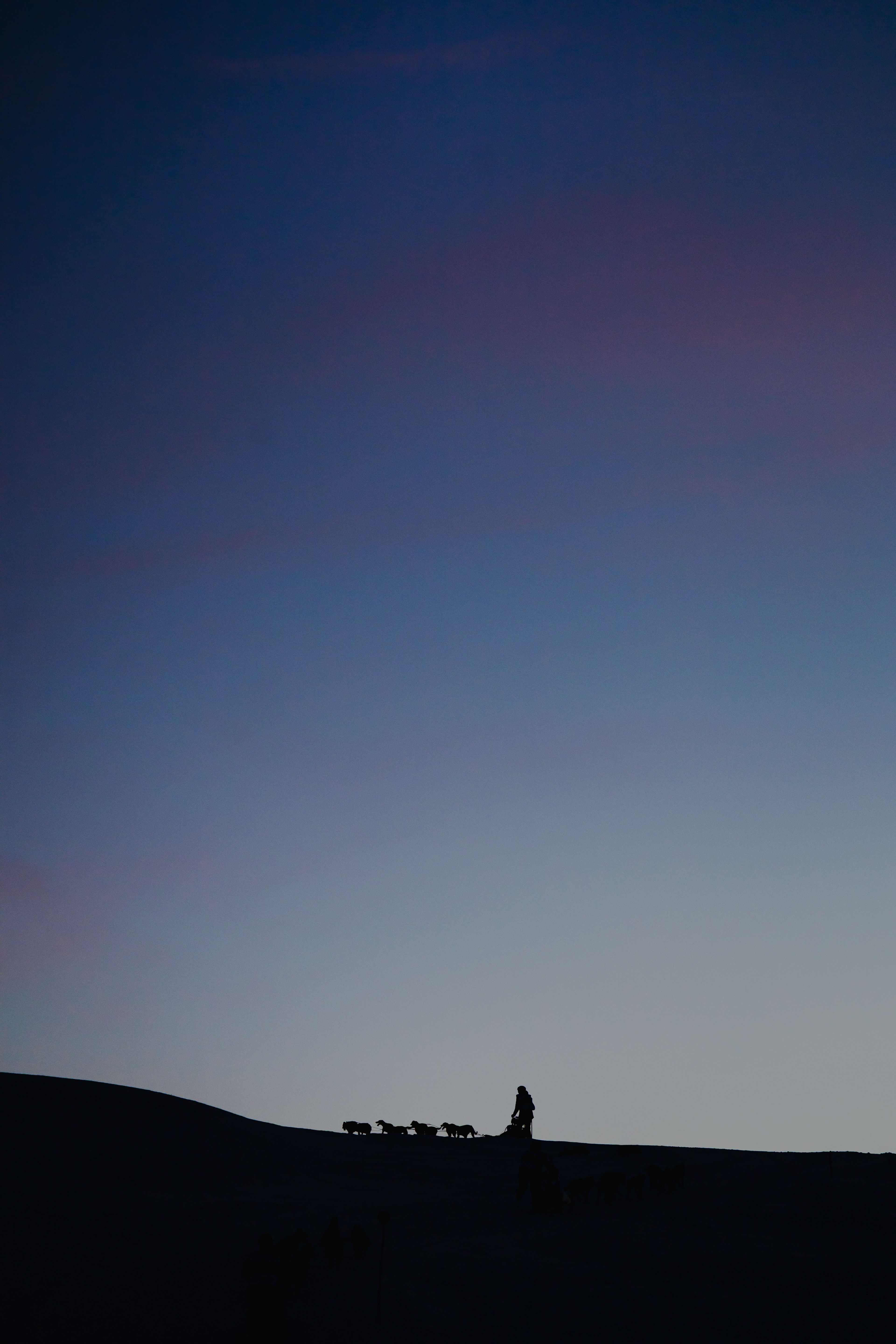 Musher au crépuscule - Les 7 Laux, France