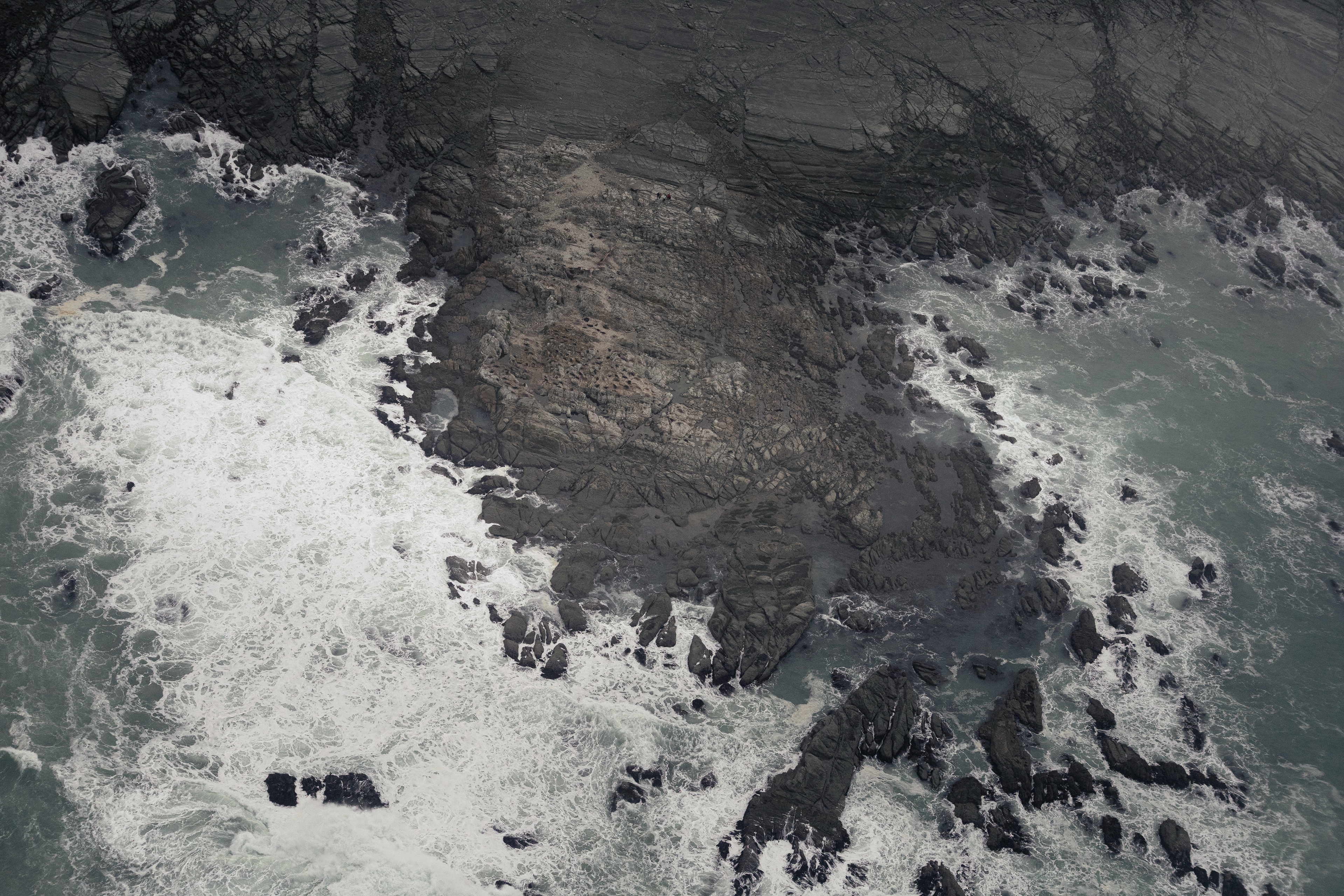 Colonie d'otaries depuis le ciel - Kaikōura, Nouvelle-Zélande