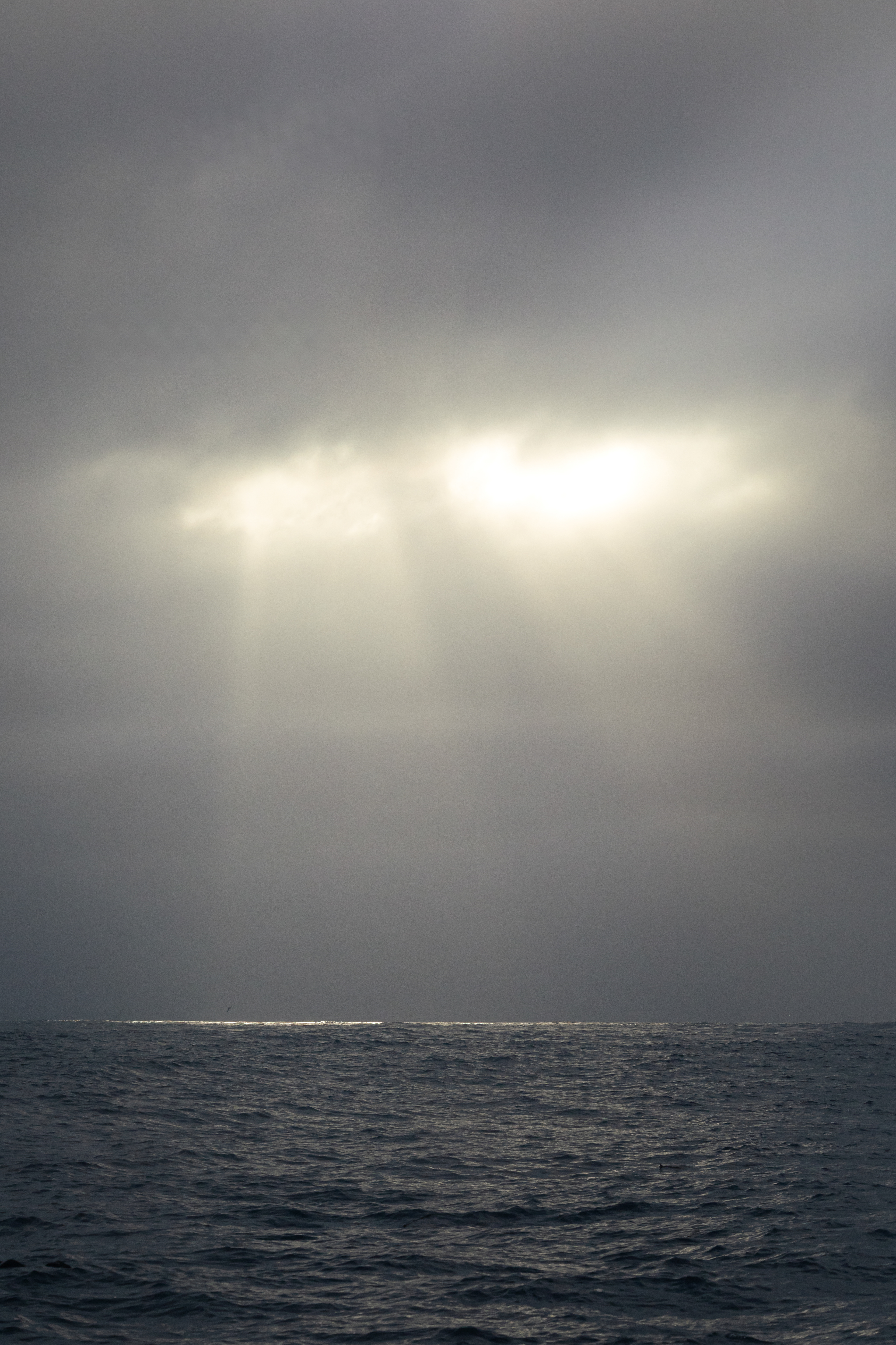 Kaikōura, Nouvelle-Zélande